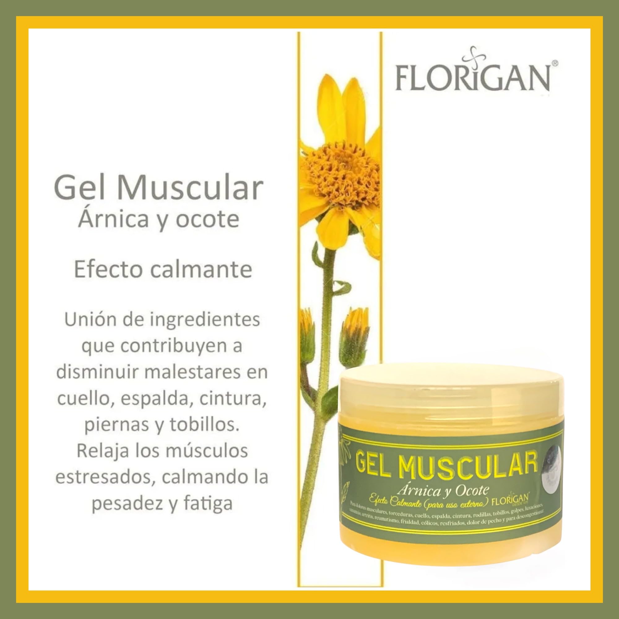 Arnica and Ocote Muscle Gel 350grs. Florigan buy supplements canada