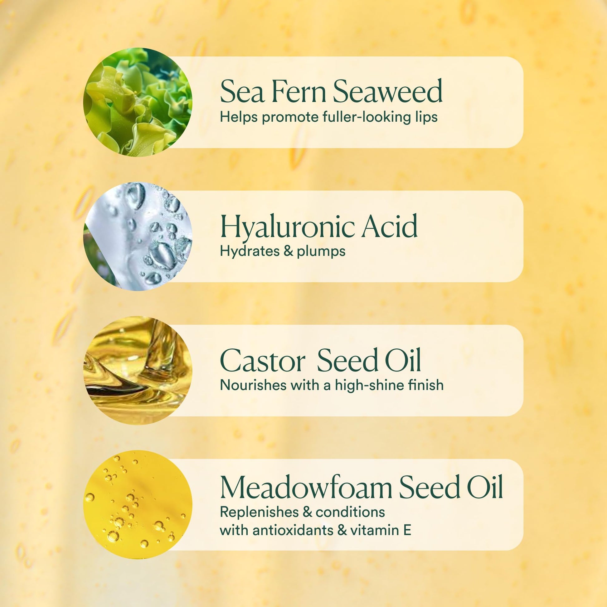 OSEA Hyaluronic Lip Oil Booster – Clean Beauty Lip Oil for Plump, Glossy, Hydrated Lips – Nourishing Seaweed & Meadowfoam Oil – Vegan, Non-Sticky, High-Shine Finish OSEA buy supplements canada