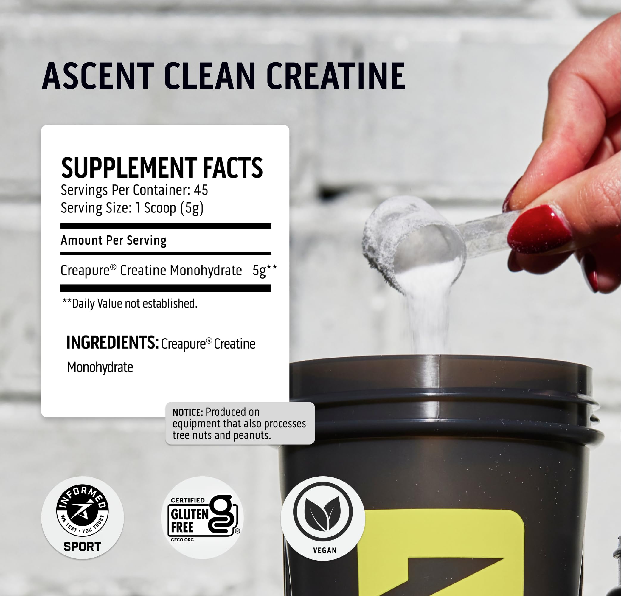 Ascent Clean Creatine Monohydrate Powder - 5G Per Serving, Creapure Creatine Supple Ascent buy supplements canada