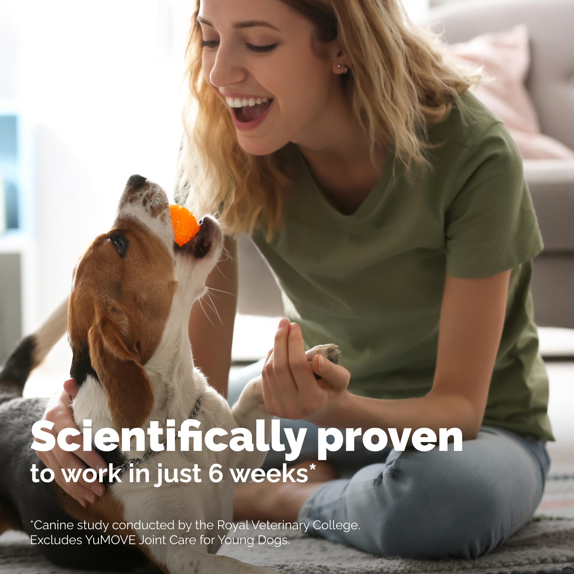 Yumove Hip & Joint Supplement for Dogs with Glucosamine, Hyaluronic Acid, Green Lipped Mussel & Omega 3 Joint Supplement - Regular or Advanced Strength (90 Count, Advanced Vet Strength Soft Chews) YuMOVE buy supplements canada