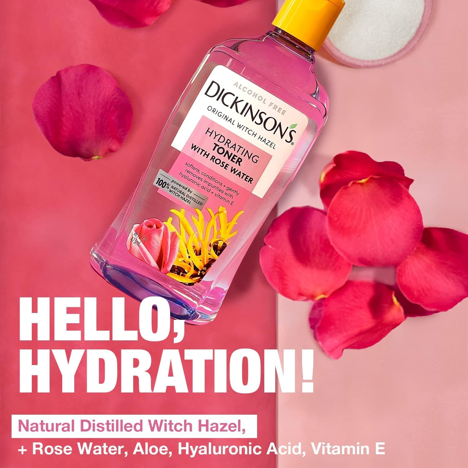 Dickinson's Enhanced Witch Hazel Hydrating Toner with Rosewater, Alcohol Free, 98% Natural Formula, 16 Fl Oz (Pack of 1) Dickinson's buy supplements canada
