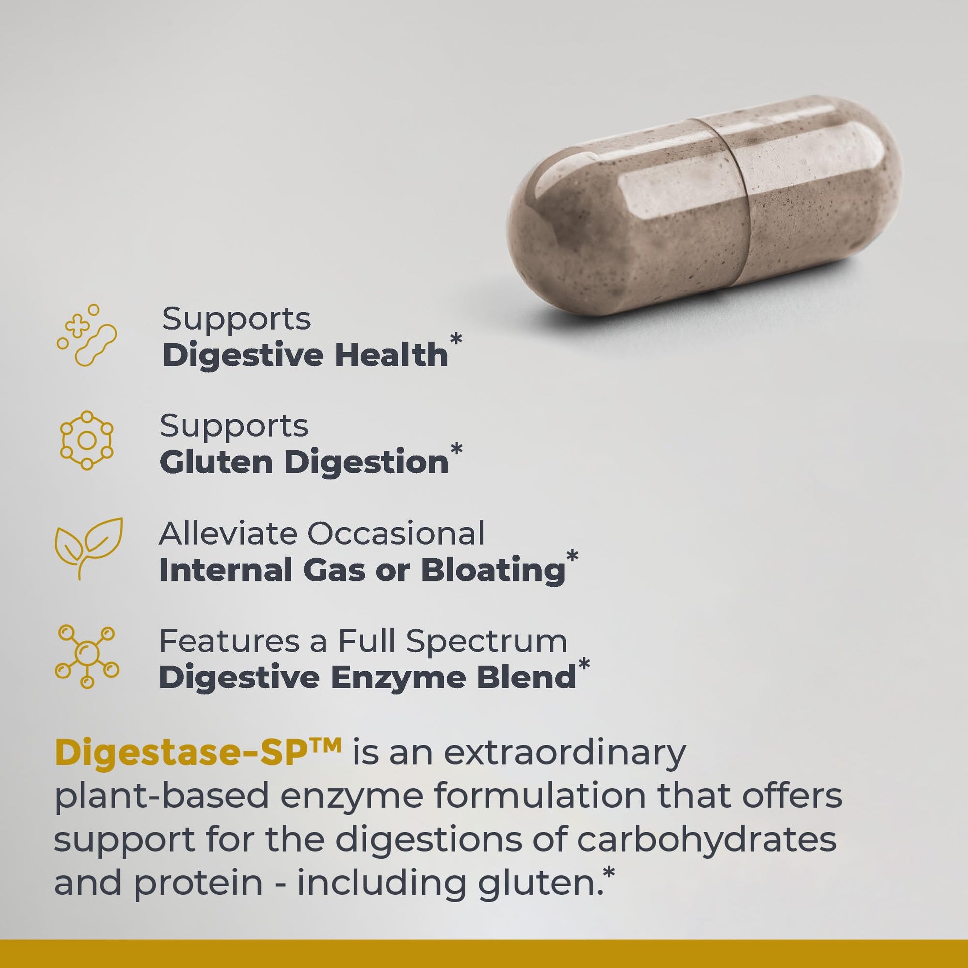 Premier Research Labs Digestase-SP - Enzymes for Digestion, Fermented Digestive Enzymes for Women & Men, Gut Health Support Pills with Peptidase, Hemicellulase - 60 Vegetarian Capsules Premier Research Labs buy supplements canada