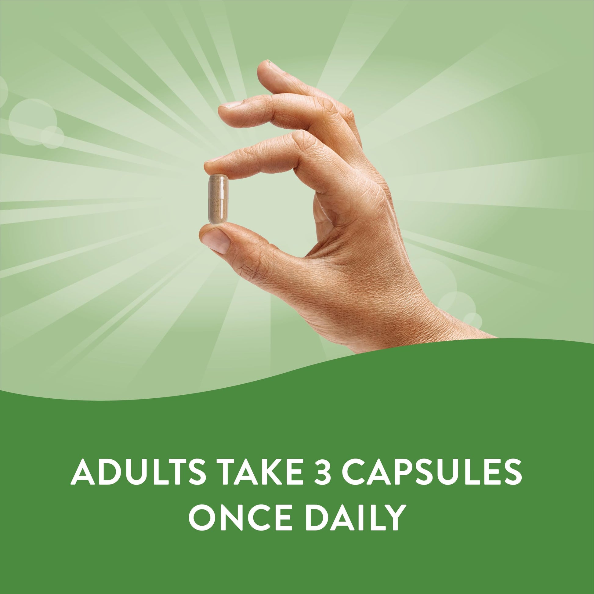 Nature's Way Dandelion Root Diuretic Herb* 525 mg per Capsule Non-GMO Nature's Way buy supplements canada