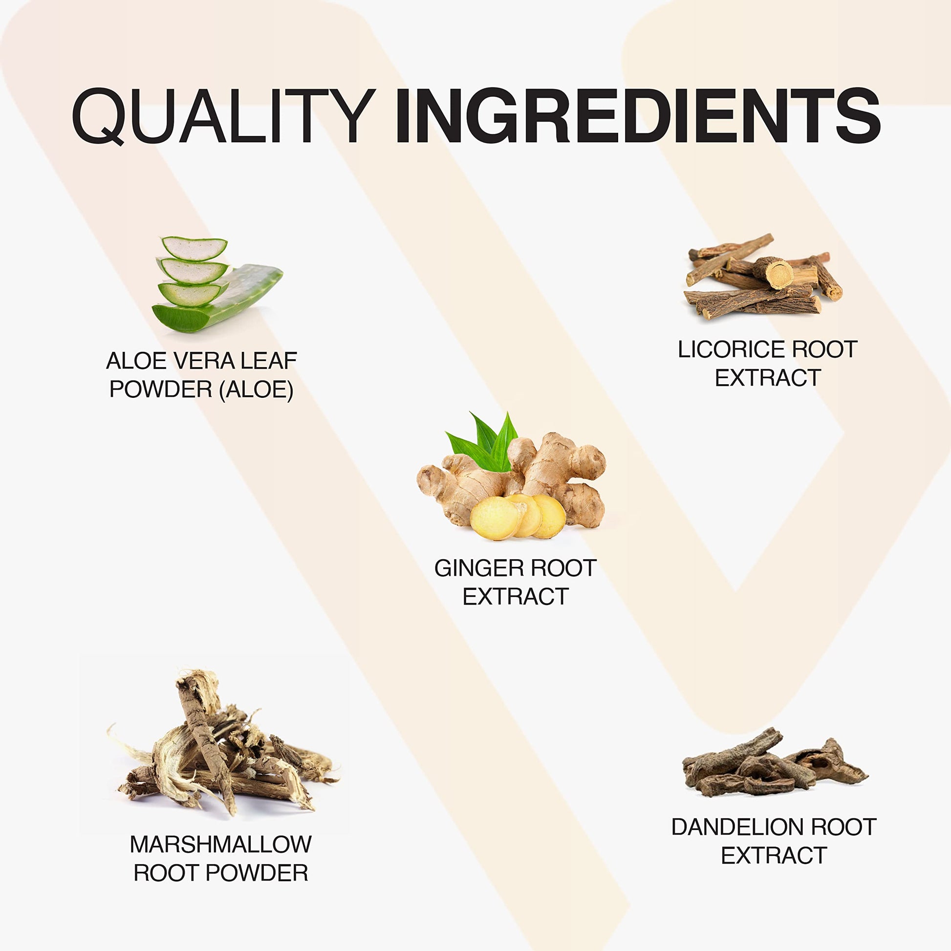 Vatellia Life New from Eaters Digest | Prebiotic | Probiotic | Digestive Support | Gut Soothing | Healthy Gut Lining | Max Nutrient Absorption Vatellia Life buy supplements canada