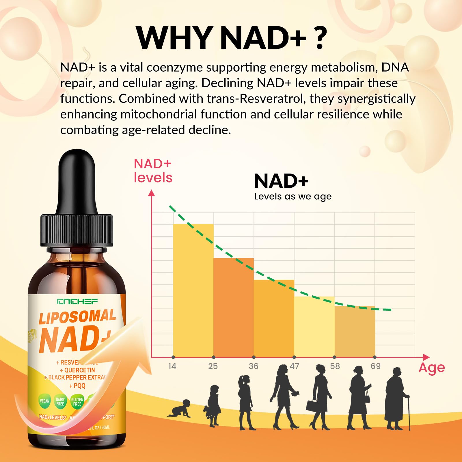 CNCHEF Liposomal NAD Supplement - 1500mg NAD+ Liquid Drop for Women & Men Nicotinamide Riboside Chloride & Resveratrol Complex - Cellular Renewal, Anti-Aging Support - 30 Servings (2 fl oz) CNCHEF buy supplements canada
