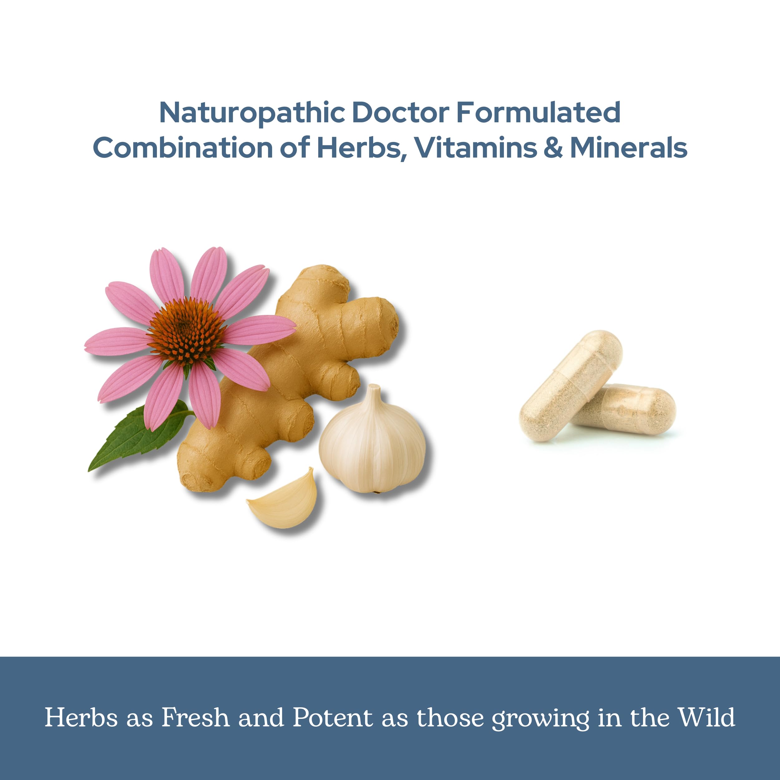Eclectic Herb - Vitabiotic Capsules | Immune Support | Natural Herbal Multivitamin Supplement | Freeze Dried, Organic, Non-GMO, Vegan, Whole Herb (150 CT | 750 mg) ECLECTIC INSTITUTE buy supplements canada