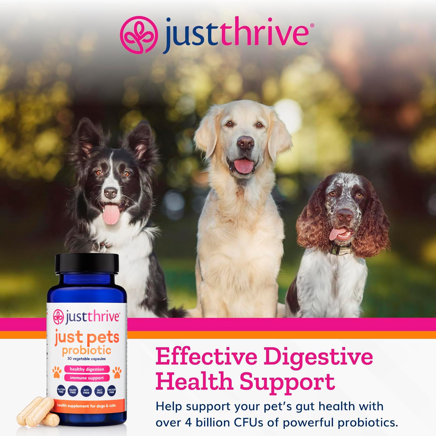 Just Thrive Just Pets Probiotic - Daily Digestive Probiotics for Dogs and Cats - 4 Billion CFUs Pet Probiotic, 30 Capsules Just Thrive buy supplements canada