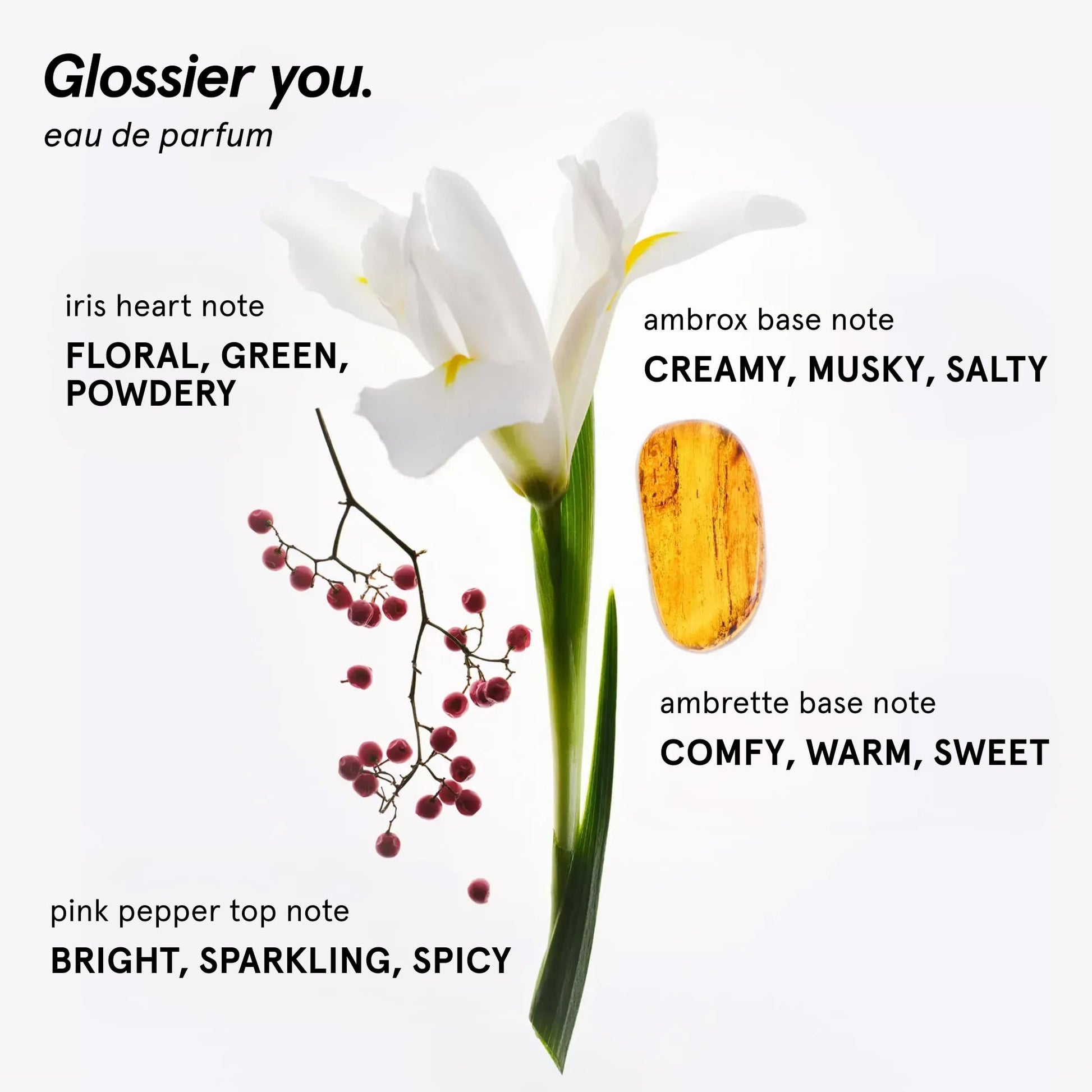 Glossier You Eau de Parfum - Unisex Fragrance for Men & Women, Skin-Scent Enhancer Smells Different on Everyone - Musky, Warm & Spicy Perfume with Pink Pepper, Iris & Ambrox Base Notes, 50ml Glossier buy supplements canada