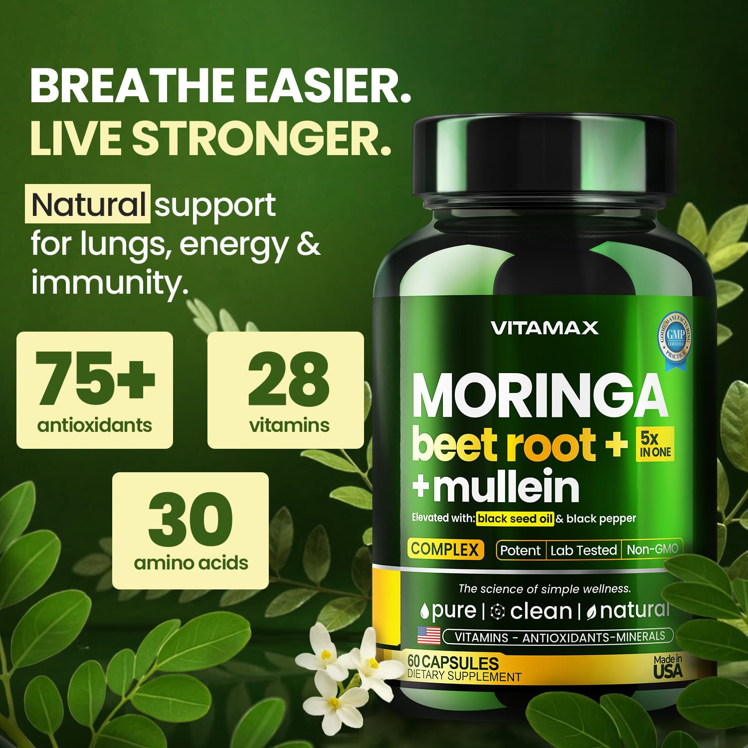 Moringa Capsules, Beet Root, Mullein Leaf - Energy, Skin, Immune Supplement Superfood, Rich in Antioxidants, Minerals & Essential Vitamins - High Absorption Non-GMO - Made in USA - 60ct Vitamax buy supplements canada