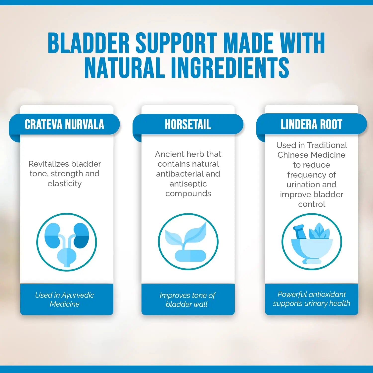 Better Bladder Control Supplement for Women & Men – Bladder Support Supplement to Help Reduce Urinary Leaks, Frequency & Urgency - 60 Count (1 Bottle) Better Bladder buy supplements canada