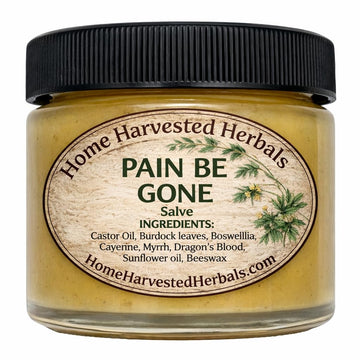Pain Relief Herbal Salve – 2 oz – Home Harvested Herbals – Natural Relief for Aches, Muscles & Joint Discomfort Home Harvested Herbals buy supplements canada