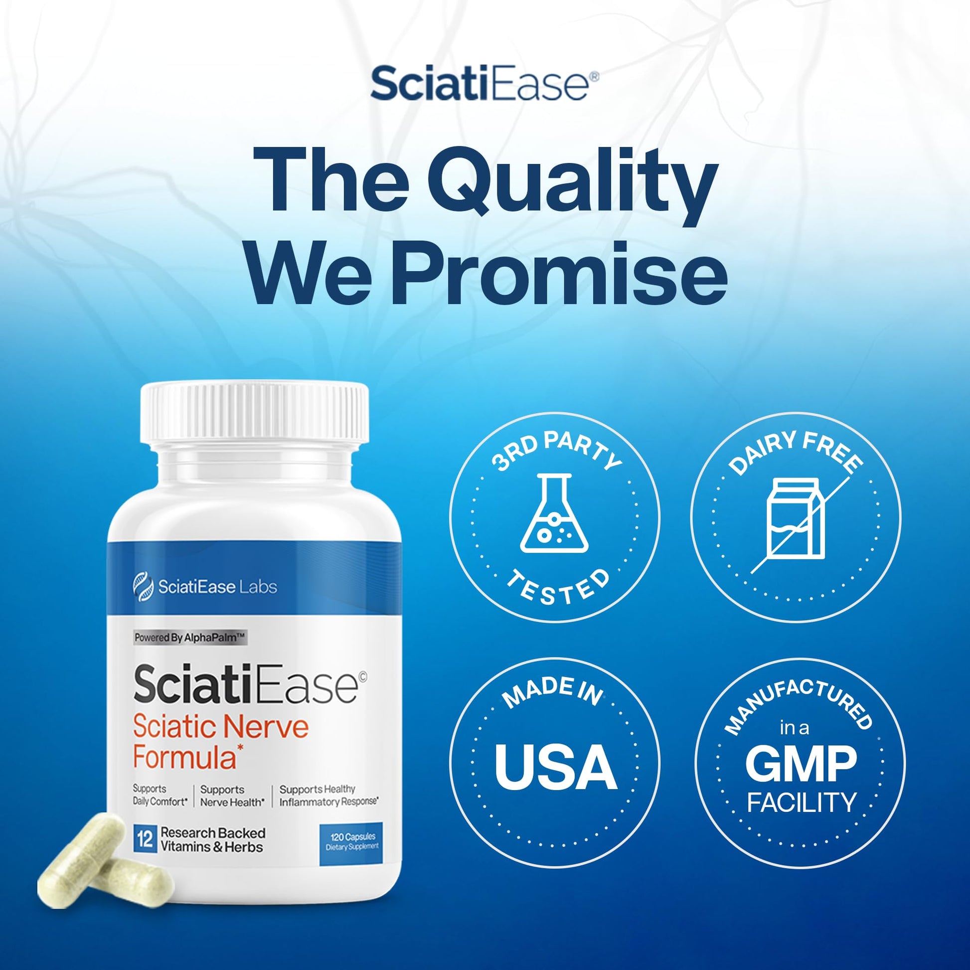 SciatiEase Sciatic Nerve Health Support Supplement - Nerve Support Formula with AlphaPalm, Pea, Vitamin B Complex, Alpha Lipoic Acid 300mg - 3 Bottles SciatiEase buy supplements canada