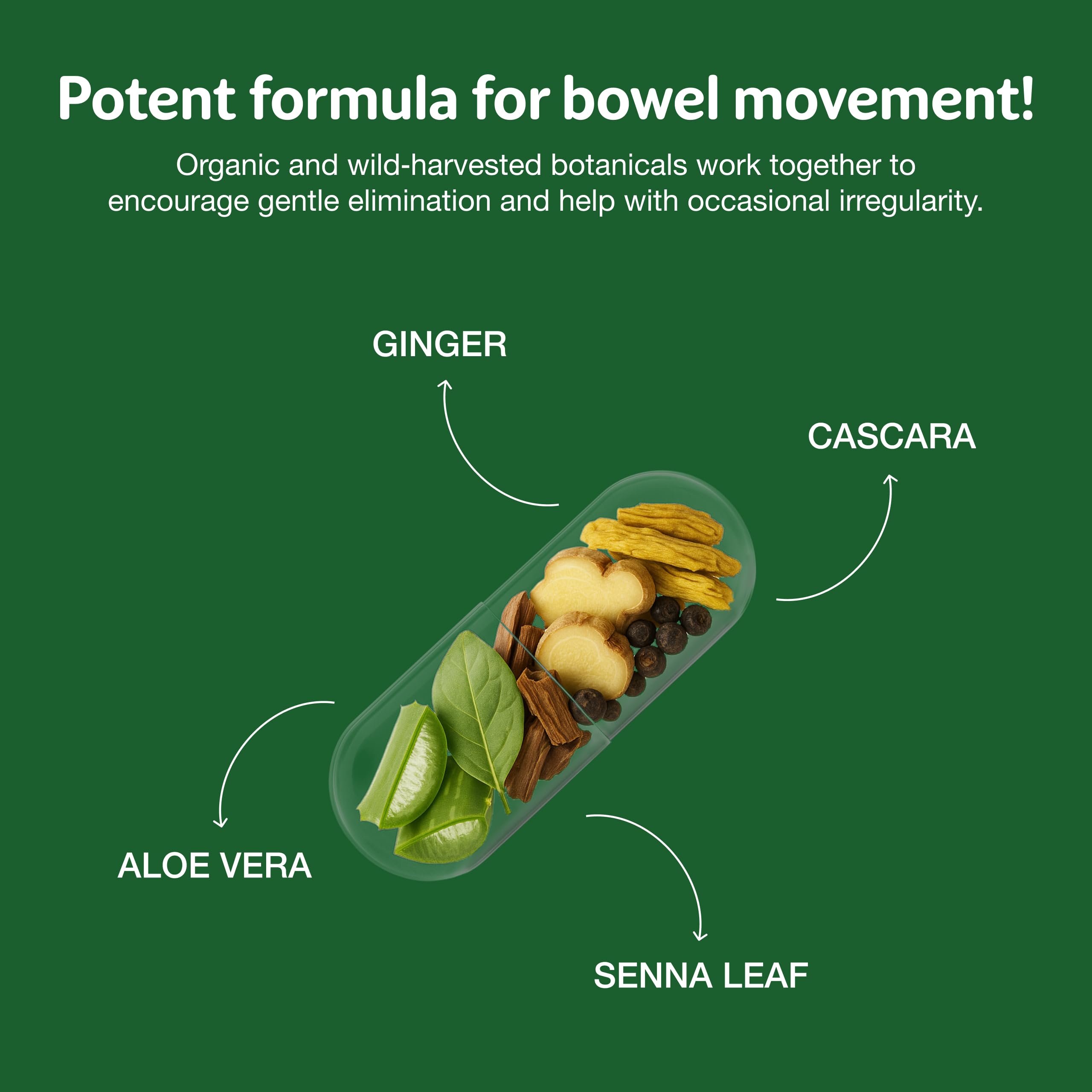 Simply Herbs Easy Go Bowel Mover - Adult Cleansing Supplement for Colon Health Support - Bowel Movement Aid - Stool Softener - Daily-Use Laxative - Plant-Based Ingredients - Vegan - 50 Count Dr. Schulze's buy supplements canada