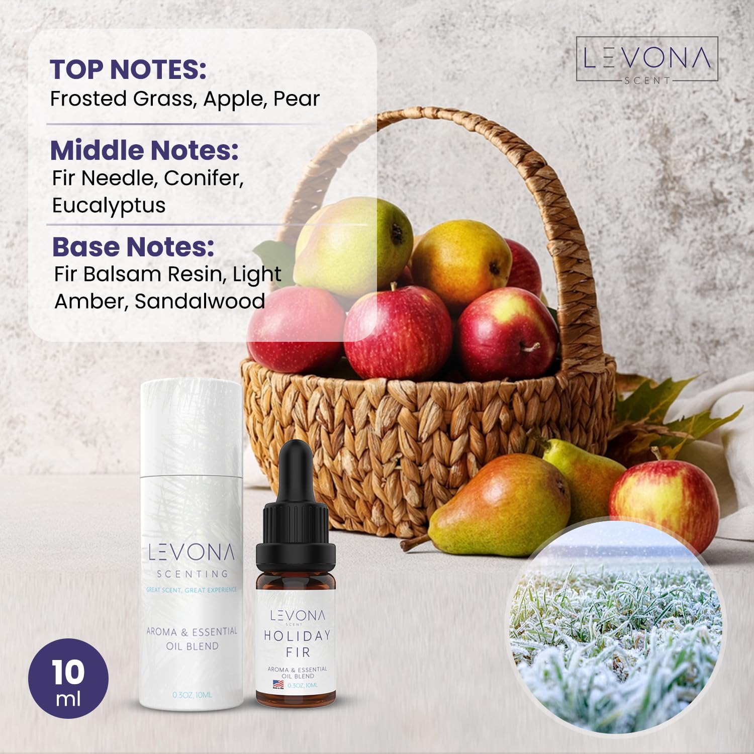 Levona Scent Christmas Essential Oils for Diffuser: Holiday Fir Essential Oil for Diffusers for Home LEVONA SCENT buy supplements canada