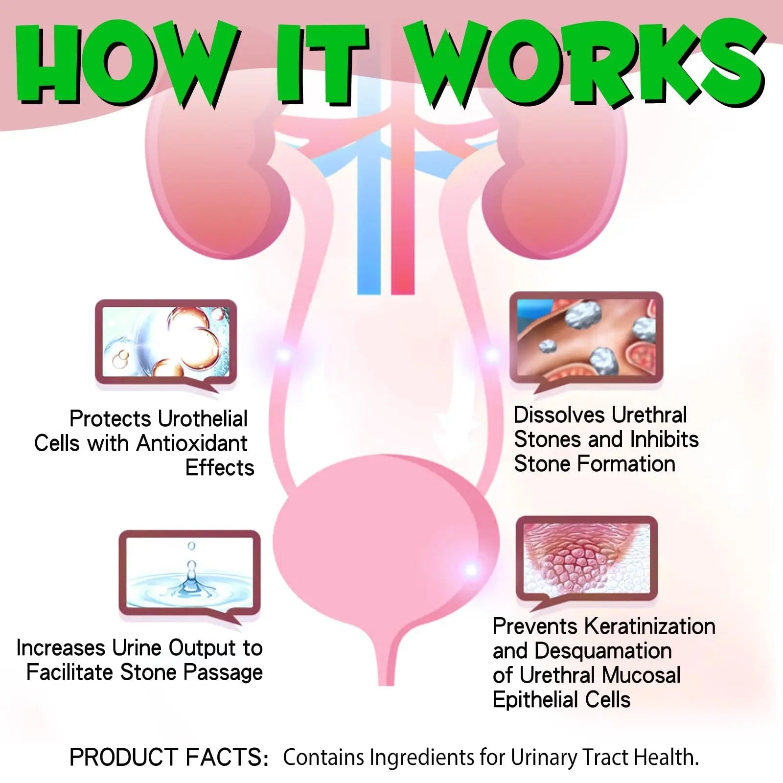 Cat Urinary Tract Infection Treatment, Cat UTI Treatment Drops Supports Bladder, Kidney Stone, Cranberry Kidney Bladder Support Supplement, Chicken Flavor, 60ml BTQAFVZT buy supplements canada