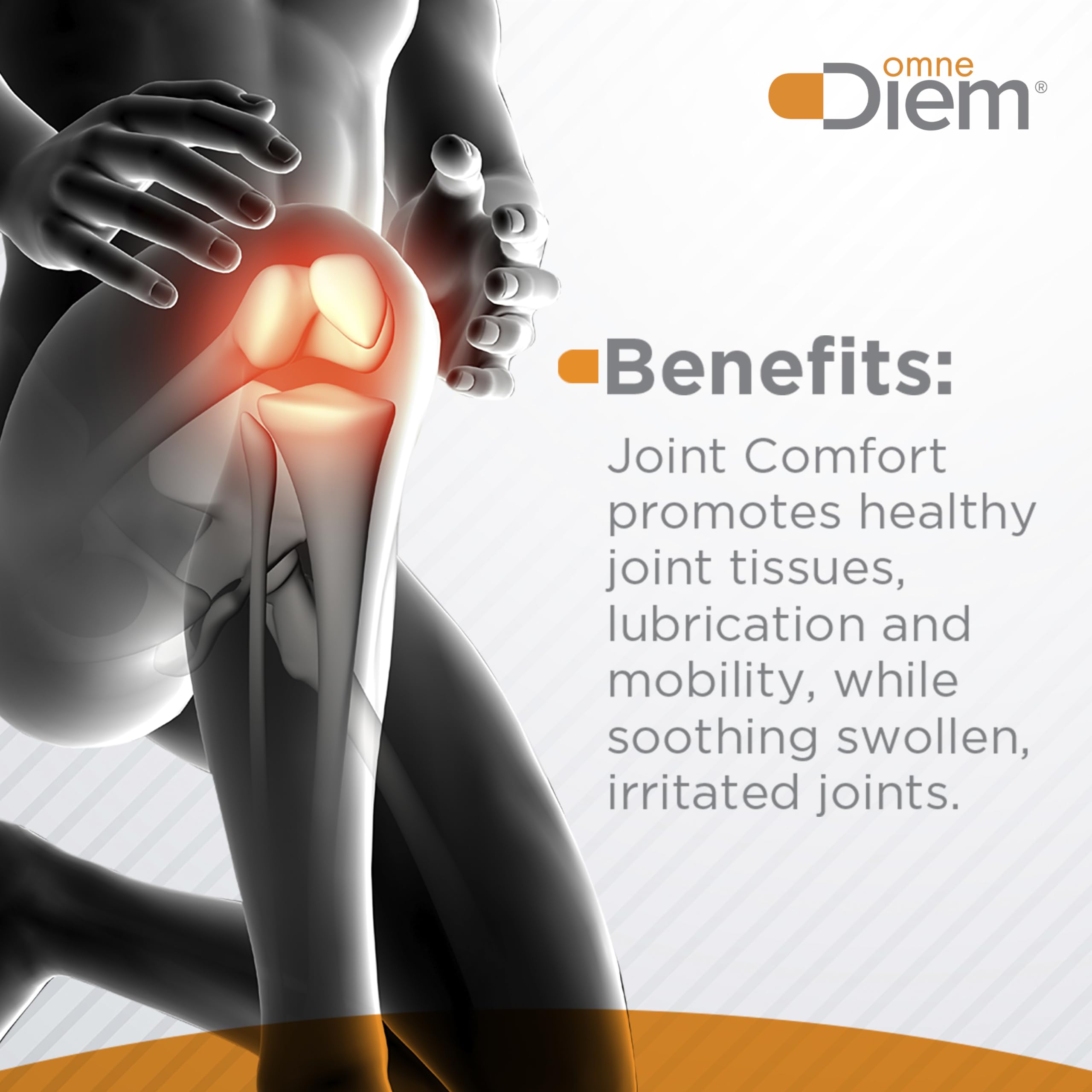 OmneDiem Joint Comfort with ZOARA, 60 Capsules – Dietary Supplement for Comprehensive Joint Care & Comfort Omne Diem buy supplements canada