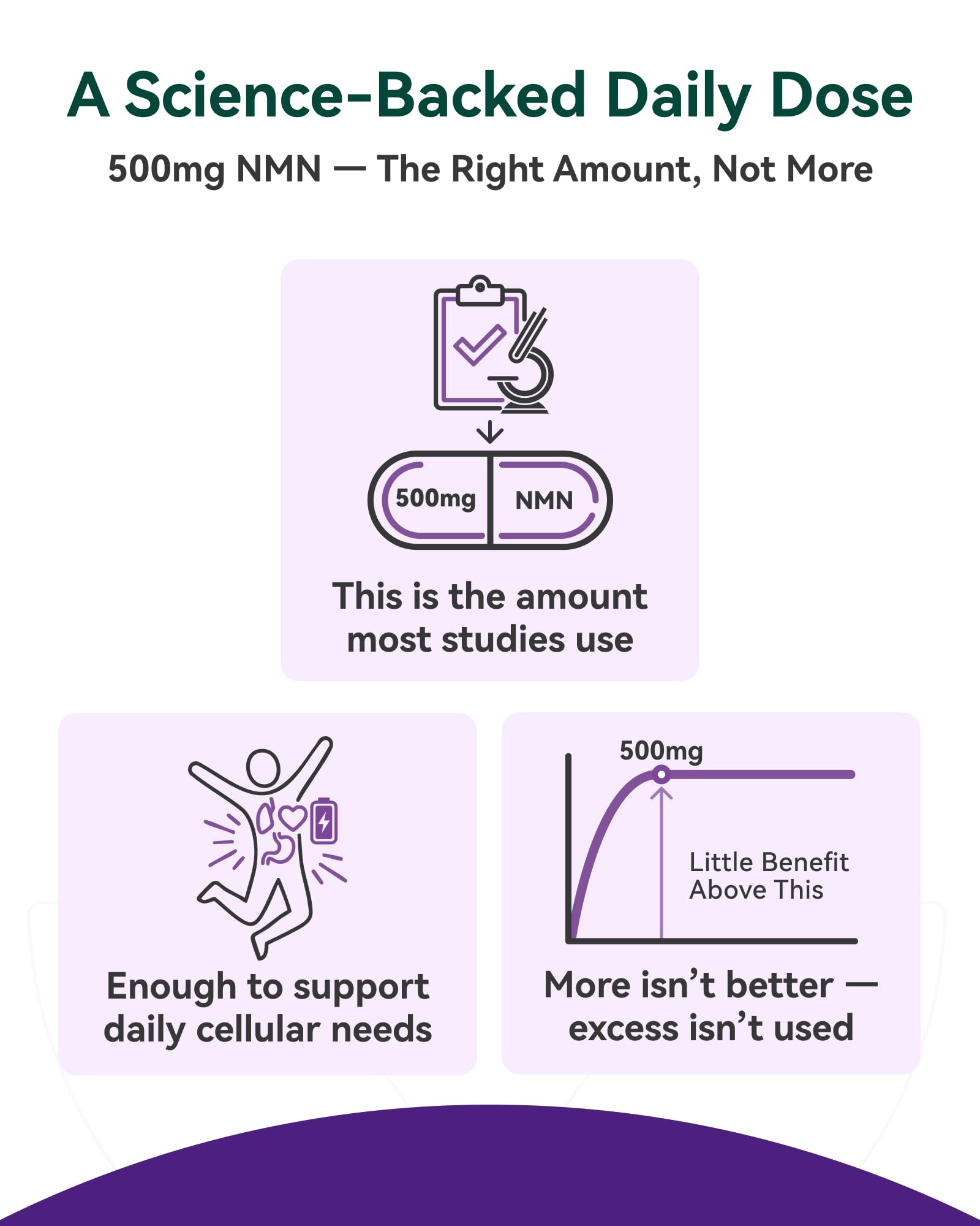 Inner Brightness NMN Supplement 500mg, 99.9% High Purity, Supports NAD+ Levels & Cellular Energy, 5-in-1 Formula with Resveratrol & Astaxanthin, Non-GMO, Gluten-Free, 60 Capsules Inner Brightness buy supplements canada