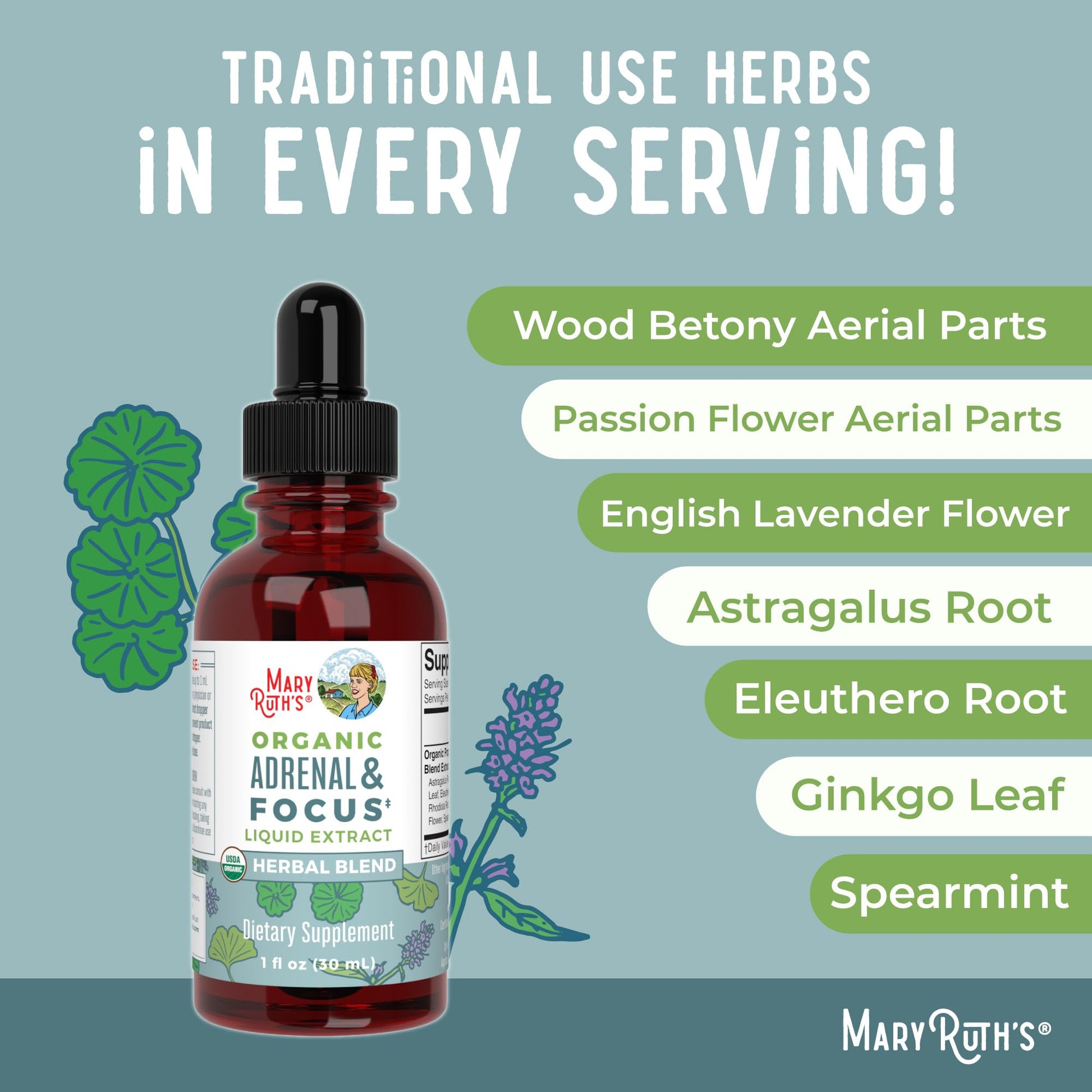 MaryRuth Organics - USDA Organic Brain Nootropic Supplement for Adults with Ginkgo Biloba & Astragalus | Focus & Adrenal Support | Brain & Memory Drops | Vegan | Non-GMO | Gluten Free | 30 Servings MARYRUTH'S buy supplements canada