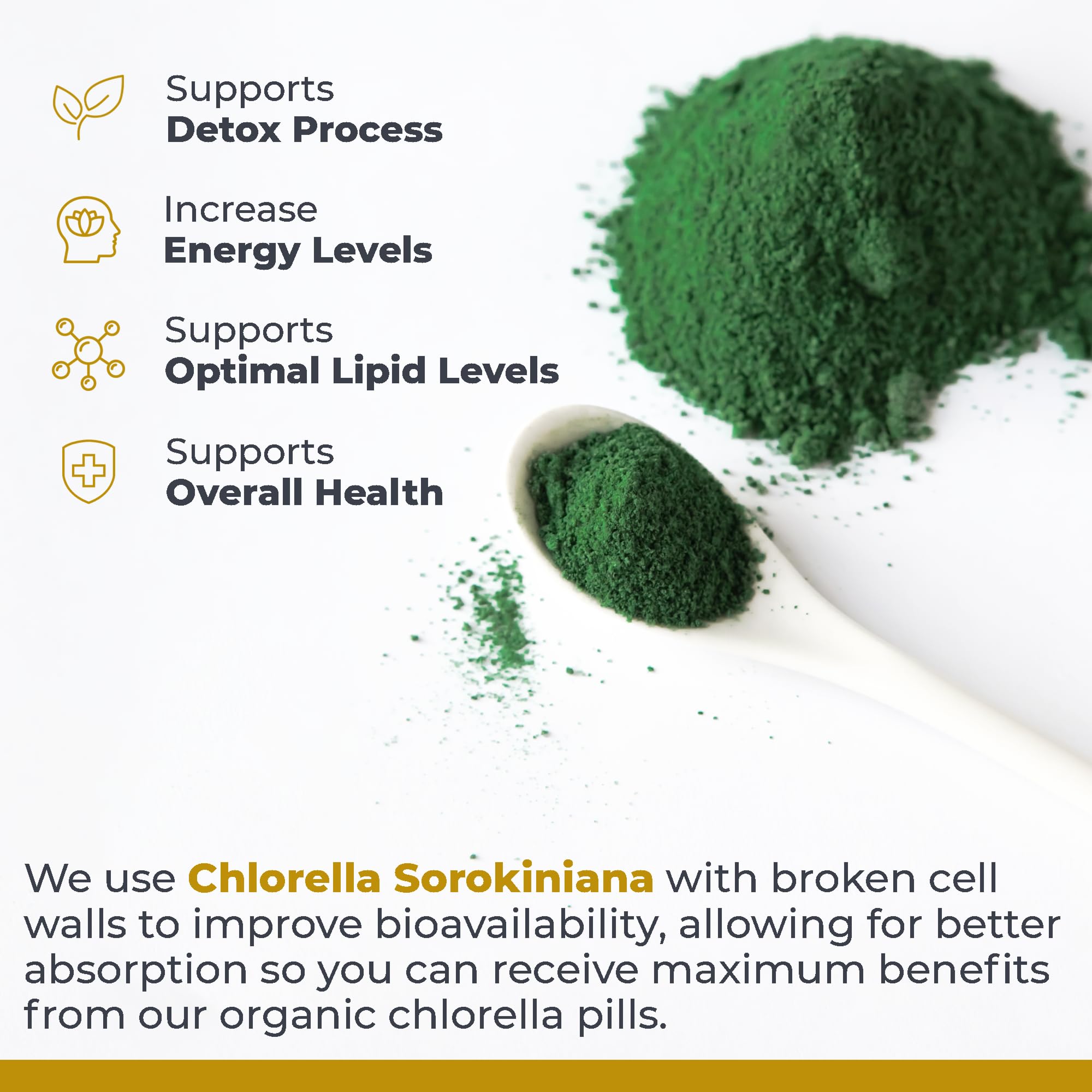 Premier Research Labs Medi Chlorella-FX - Chlorella Capsules, Chlorophyll Capsules, Organic Pills for Women & Men, Chlorophyll Supplement - 120 Vegetarian Capsules Premier Research Labs buy supplements canada