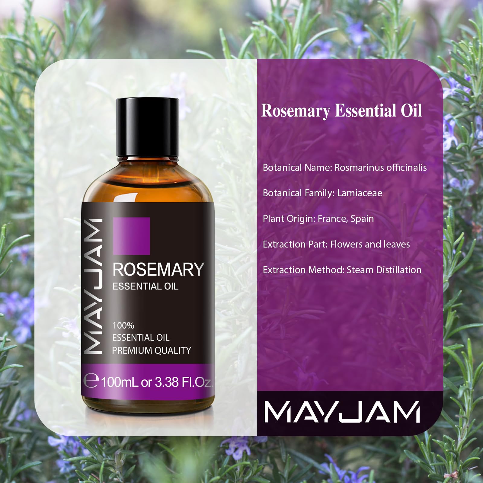 MAYJAM Essential Oil, Rosemary Oil 3.38FL.OZ - Rosemary Essential Oils for Diffusers for Home MAYJAM buy supplements canada