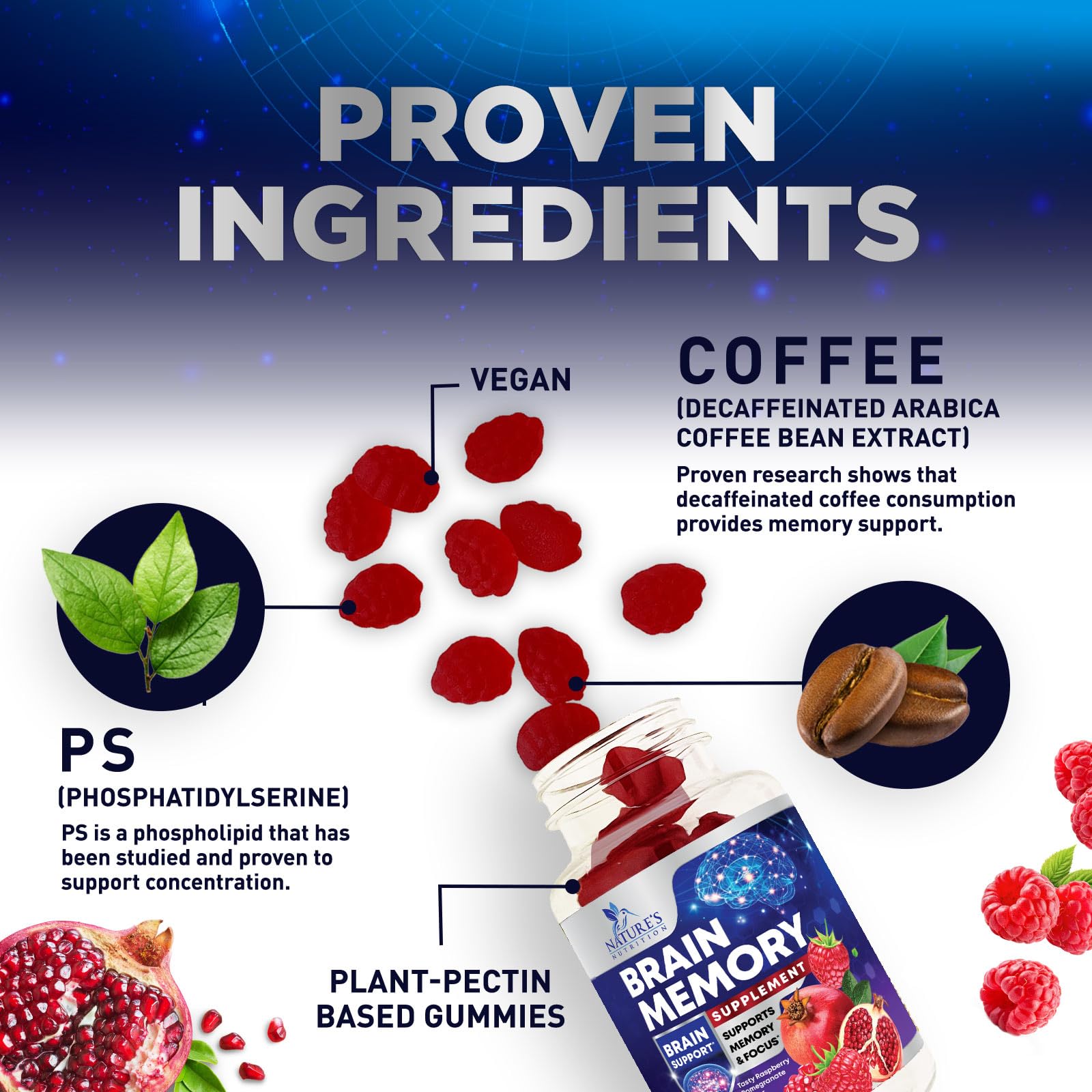 Brain Supplements for Memory & Focus Gummies - Brain Health Clarity with B6 B12 & Phosphatidylserine - Natural Nootropics Cognitive Concentration & Alertness Support Vitamins - 60 Vegan Gummies Nature's Nutrition buy supplements canada