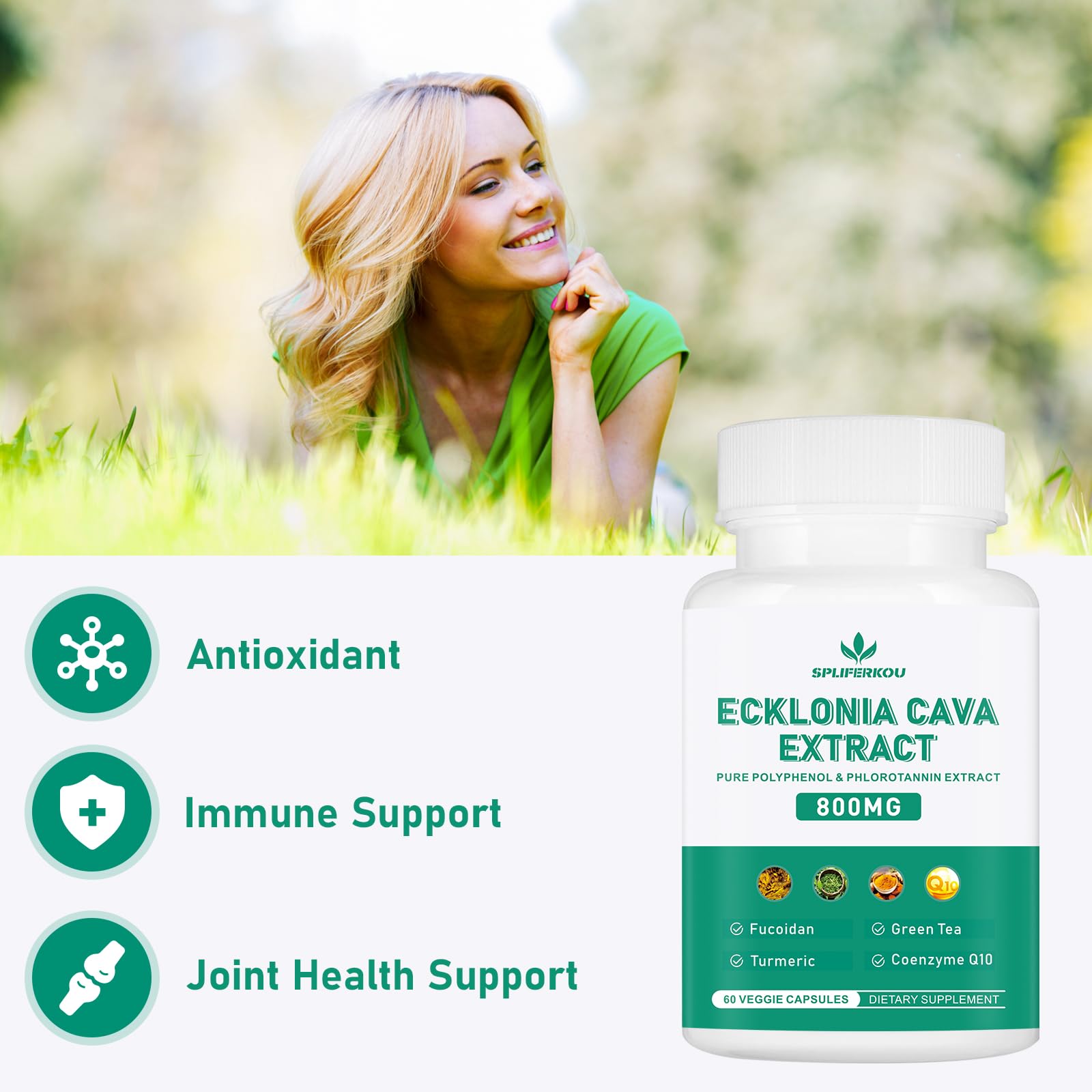 Spliferikou Ecklonia Cava Extract, 800mg, 60 Veggie Capsules with Fucoidan, Green Tea, Turmeric, CoQ10, Dietary Supplement Spliferkou buy supplements canada