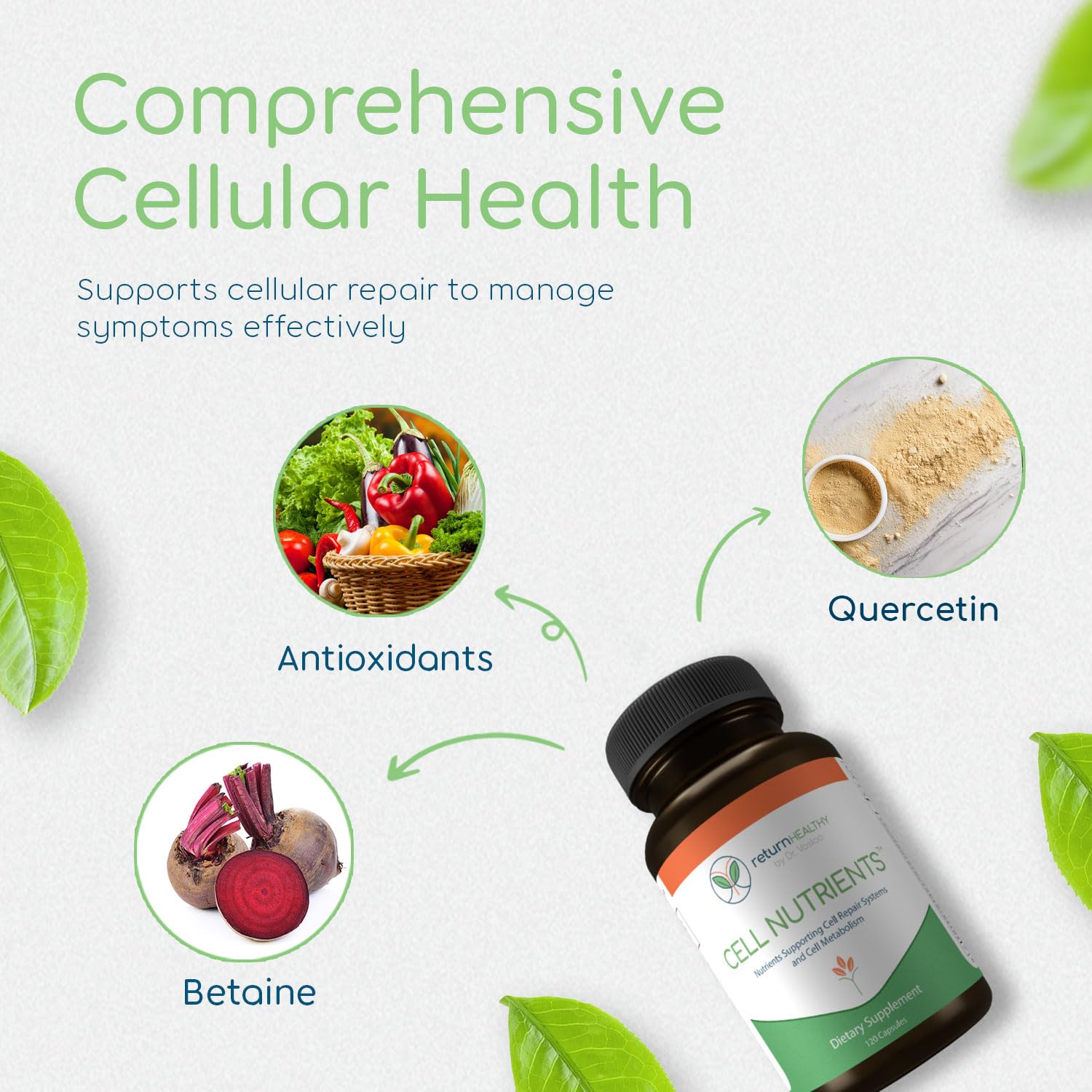 Return Healthy Cell Nutrients | Promotes Cell and Membrane Repair & Cell Metabolism | Helps Fight Tick-Borne Infections & More | Mitochondrial Supplements | Non-GMO, Vegan, 120 caps Return Healthy buy supplements canada