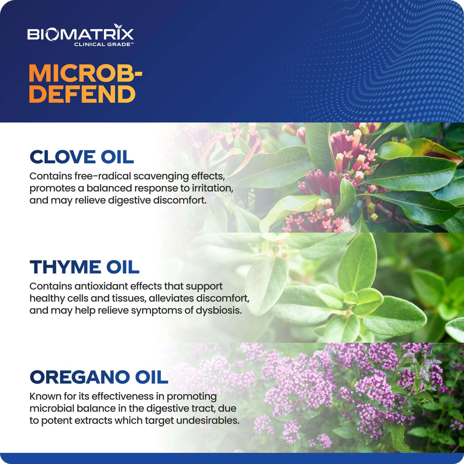 BioMatrix Biofilm Disruptor, GI Repair Digestive Supplement for Men and Women, Oil of Thyme, Oregano & Clove, Gut Microbiome & Intestinal Health Support | Microb-Defend (90 Softgels) BioMatrix buy supplements canada