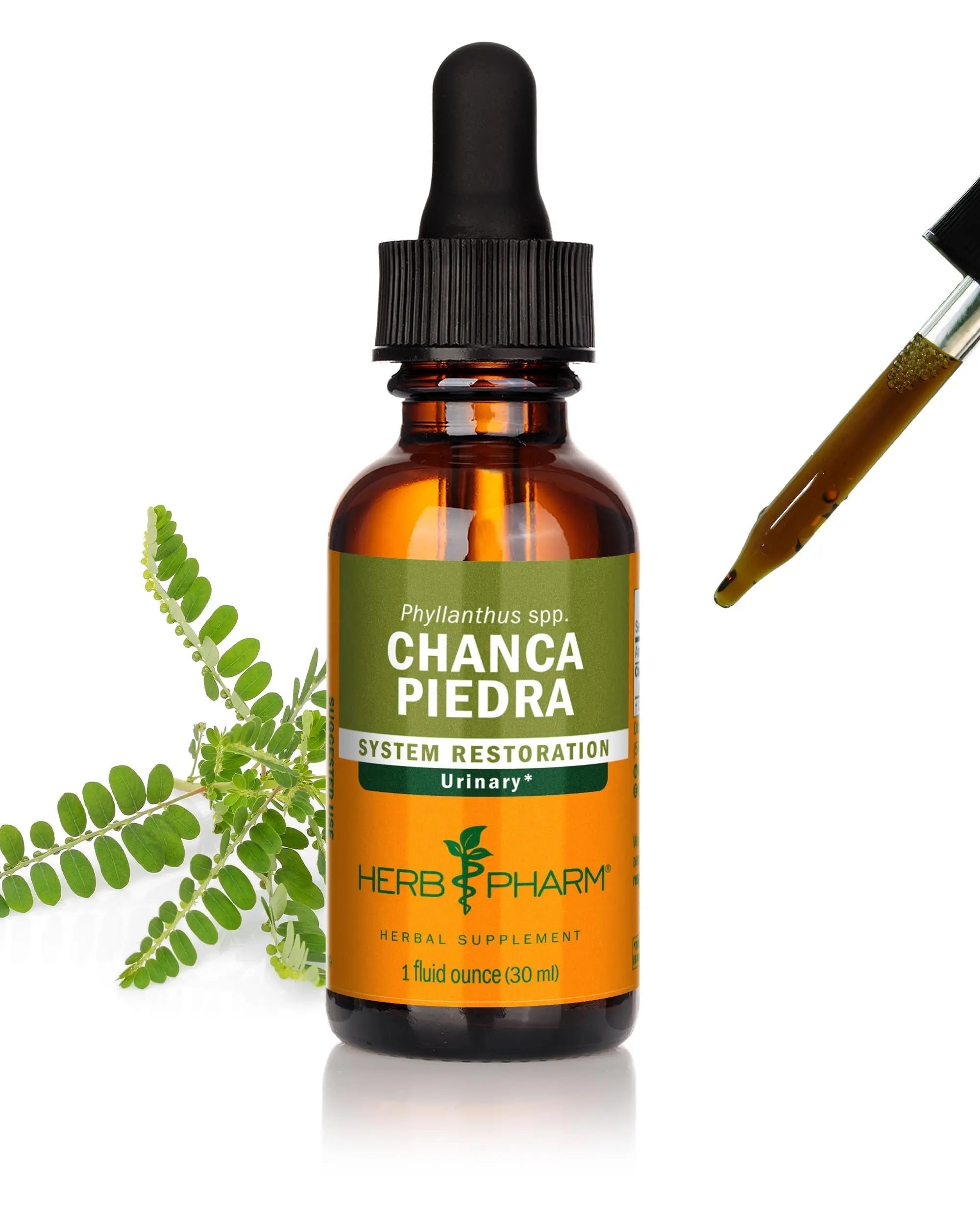 Herb Pharm Chanca Piedra Liquid Extract for Urinary System Support, 1 Fl Oz Herb Pharm buy supplements canada