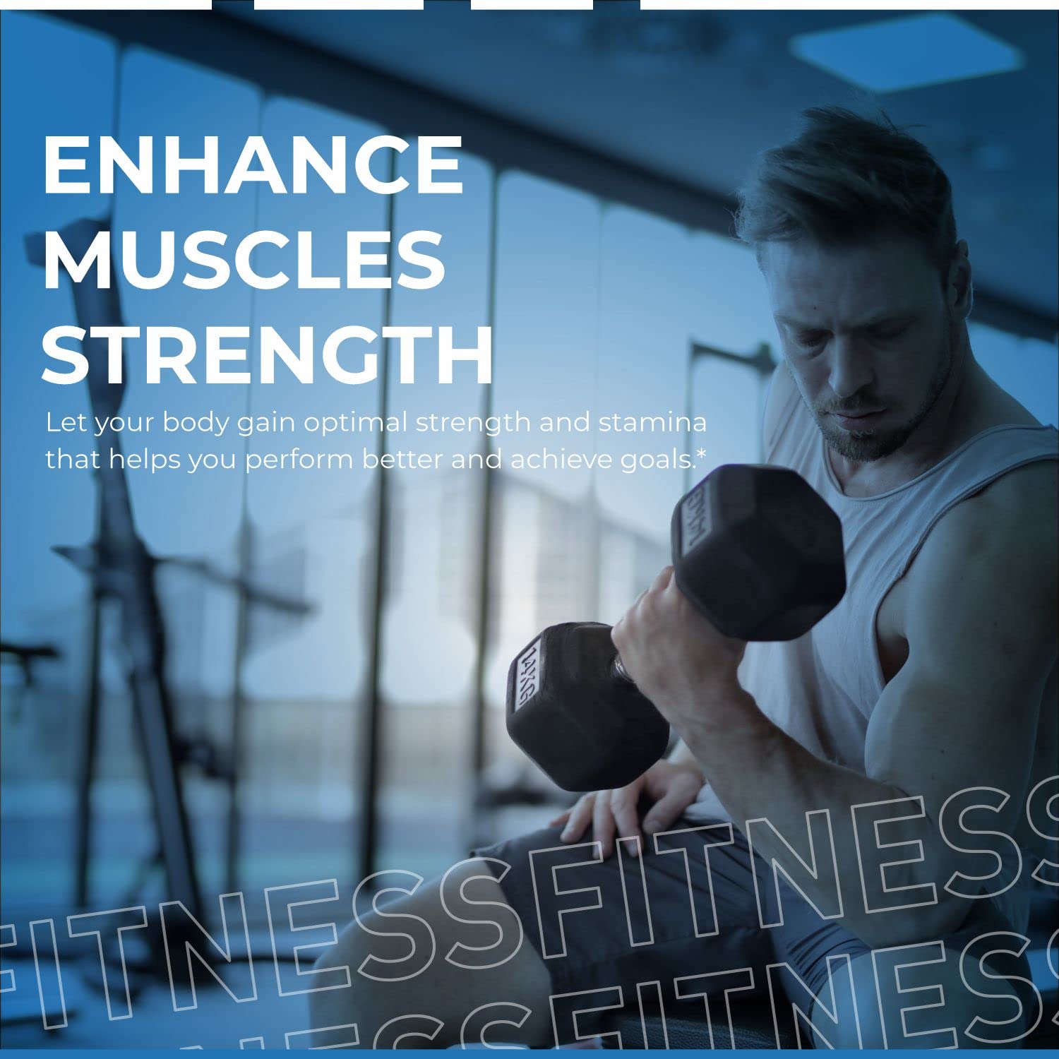 VITASEI Testronix Performance Supplement for Men - Energy and Muscle Supplements for Mens Health - 60 Capsules (Pack of 2) VITASEI buy supplements canada
