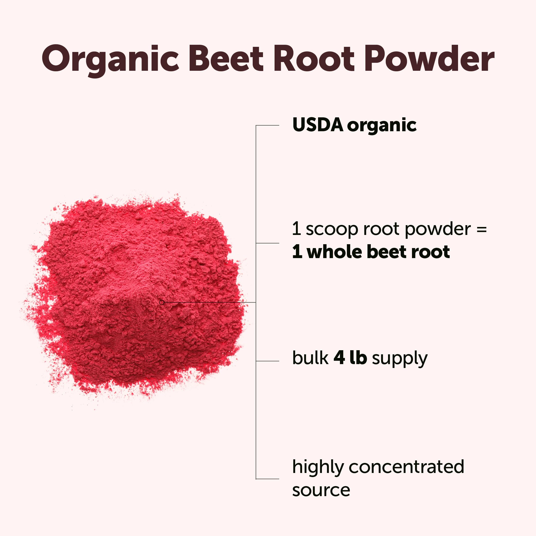 Micro Ingredients Organic Beet Root Powder, 4 Pounds | Cold Pressed, Water Soluble, High Concentrated Raw Beetroot Supplement | Natural Nitric Oxide Superfood Drink Mix Micro Ingredients buy supplements canada