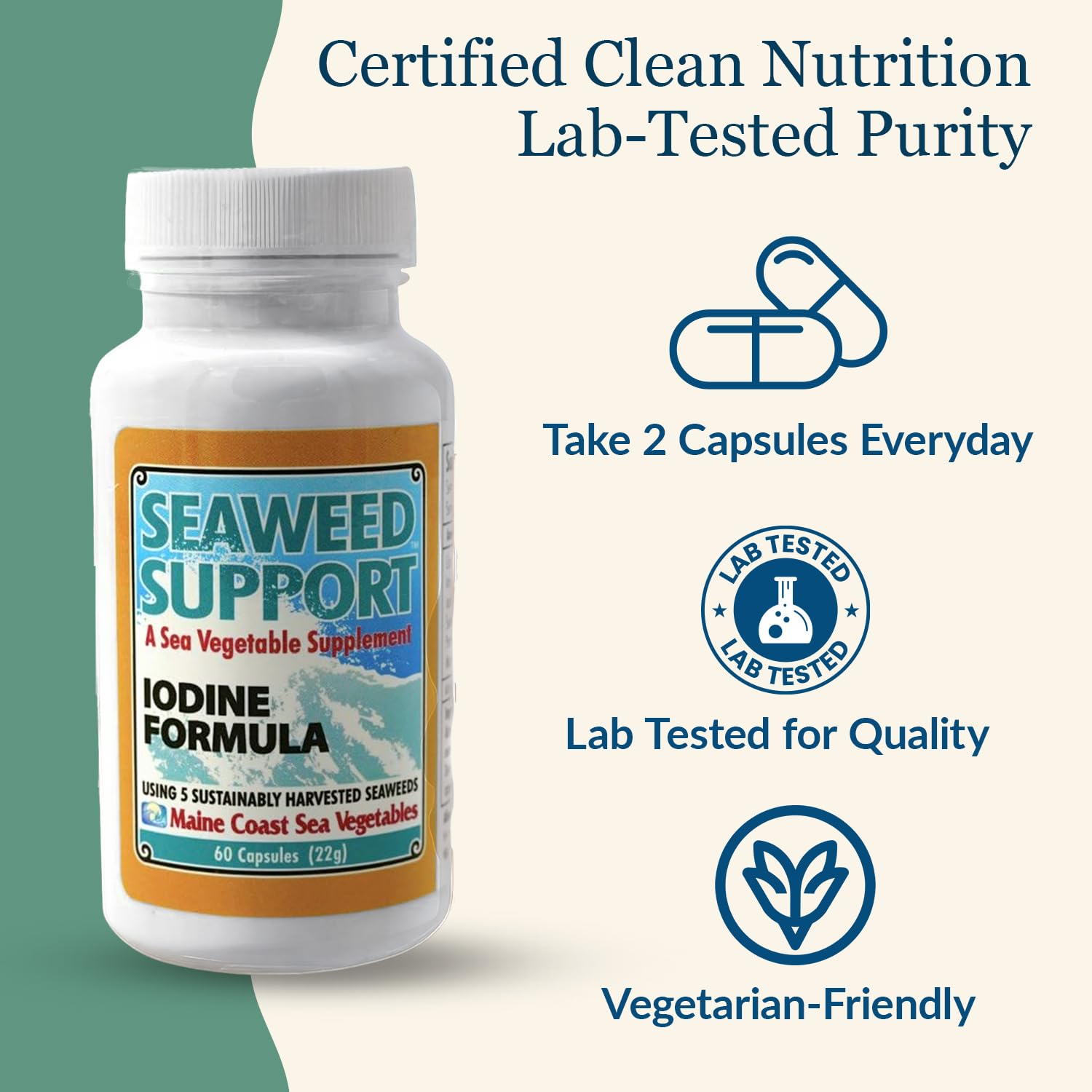 Maine Coast Sea Vegetables Seaweed Support Iodine Formula | Source of Iodine from Seaweed | Daily Use Iodine Supplement | Organic Alaria, Rockweed, Sea Lettuce, Dulse & Bladderwrack blend | 60 Capsule Maine Coast Sea Vegetables buy supplements canada