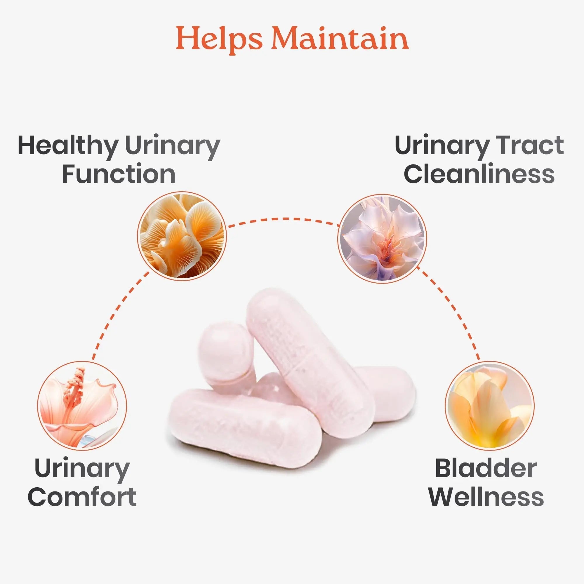 NewLife Naturals D-Mannose Capsules | w/Cranberry and Hibiscus Extracts | Natural Urinary Tract Health Supplement | 1400mg Pure Veggie Powder | 60 Veggie Capsules NewLife Naturals buy supplements canada