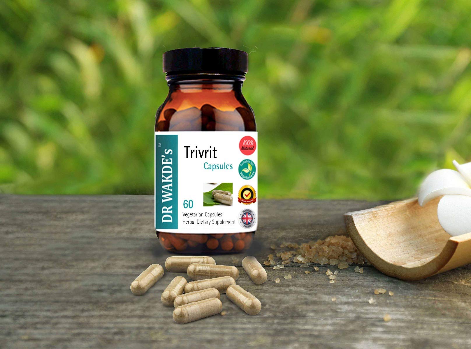 DR WAKDE'S Trivrit Capsules (Nishottar, 60 Veg Caps, Plant-Based Supplement, Ayurvedic Herb, All Natural, Vegan) DR WAKDE's buy supplements canada