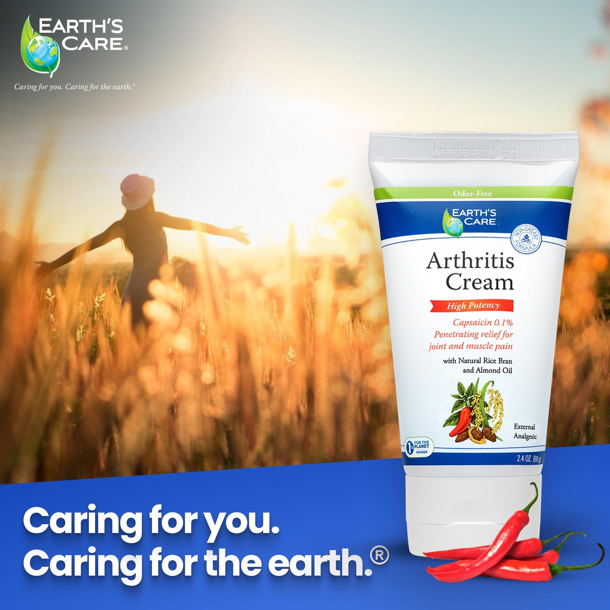 Earth's Care Arthritis Cream - Joint Cream with Natural Capsaicin - Topical Analgesic 2.4 OZ (Pack of 2) Earth's Care buy supplements canada