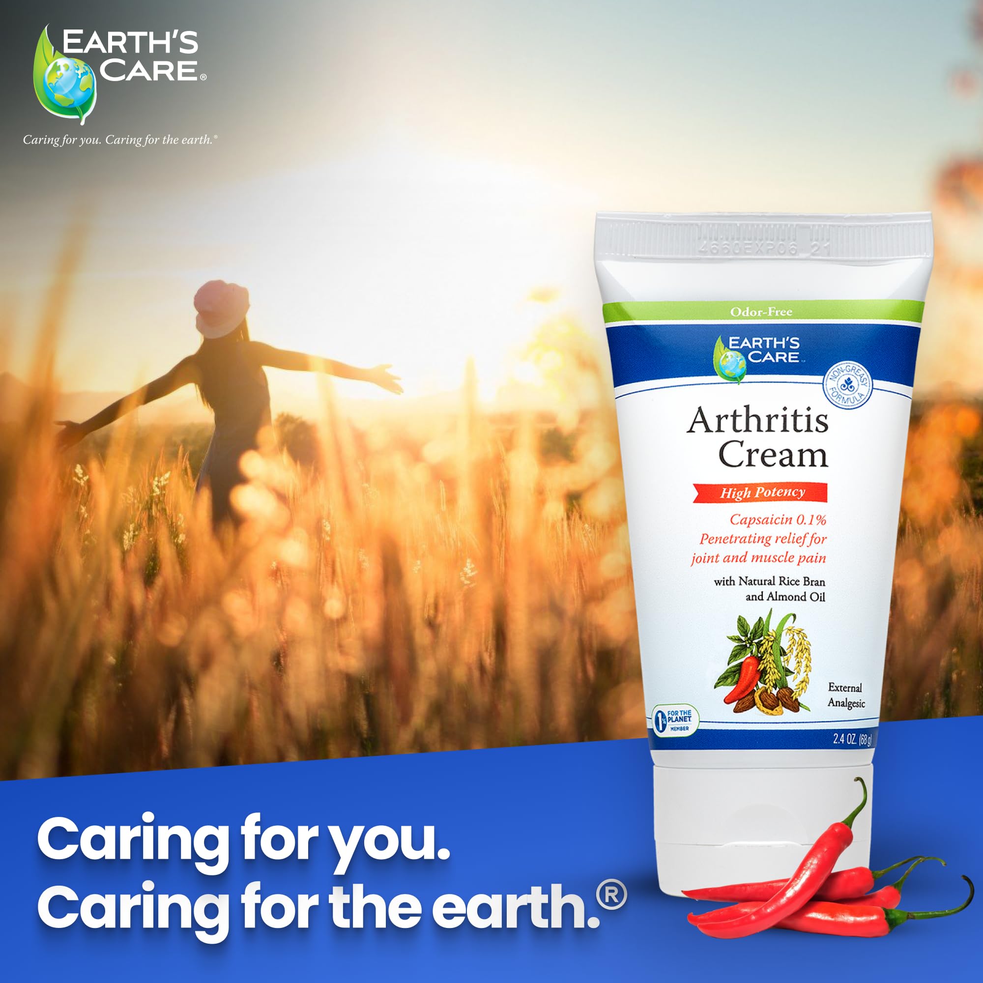 Earth's Care Arthritis Cream - Joint Cream with Natural Capsaicin - Topical Analgesic 2.4 OZ (Pack of 2) Earth's Care buy supplements canada