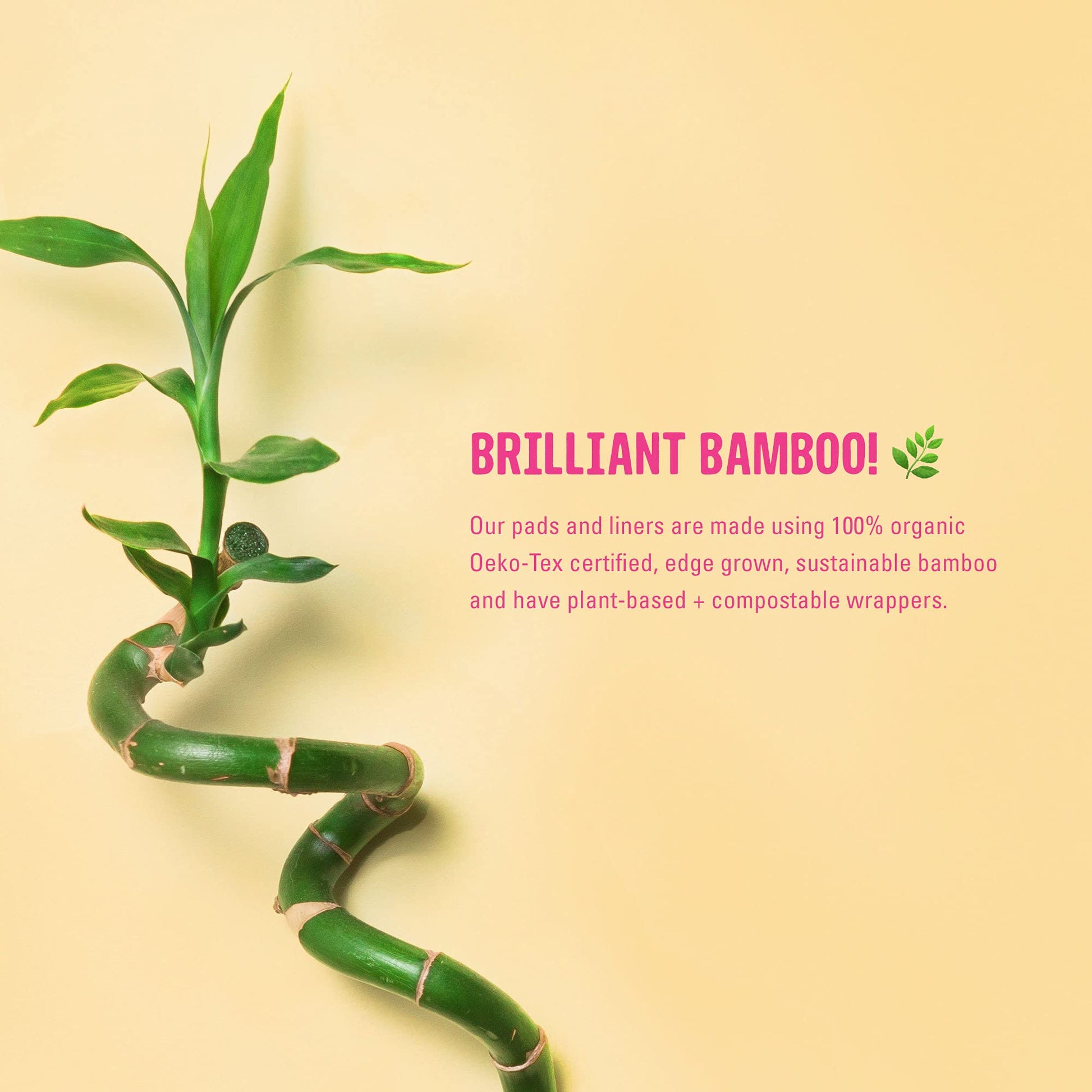 FLO - Organic Bamboo Daily Panty Liners, Plant-Based Cotton, Biodegradable FLO buy supplements canada