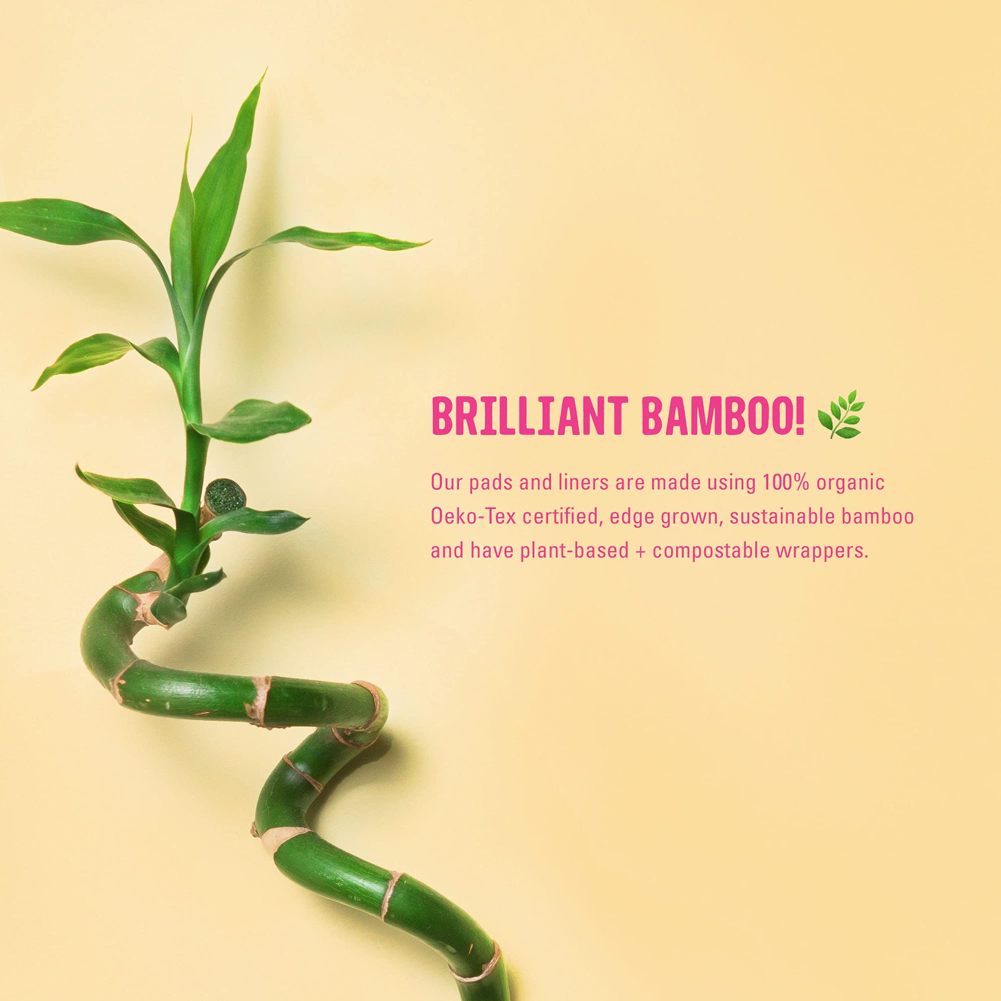 FLO - Organic Bamboo Daily Panty Liners, Plant-Based Cotton, Biodegradable FLO buy supplements canada