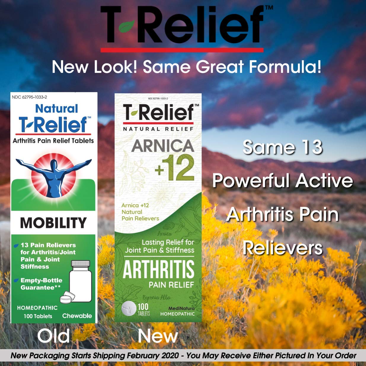 MediNatura T-Relief Extra Strength Arthritis Pain Reliever Arnica +12 Natural Medicines for Joint Soreness Stiffness Aches, Quick Dissolving Pain Relief for Women & Men - 100 Tablets (Pack of 3) MediNatura buy supplements canada