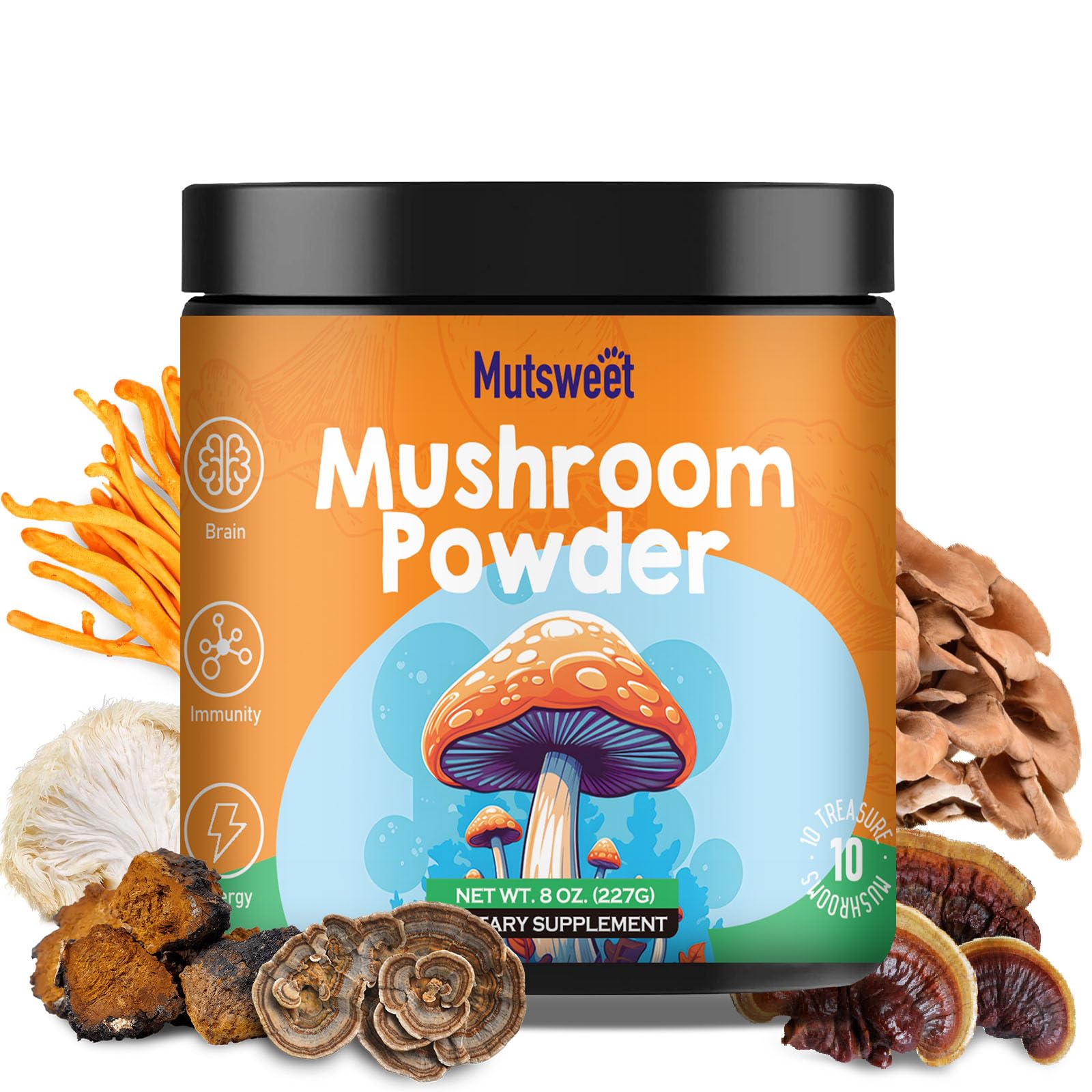 Mushroom Powder Blend (75 Servings), Ten Mushroom Supplement with Lions Mane Mutsweet buy supplements canada