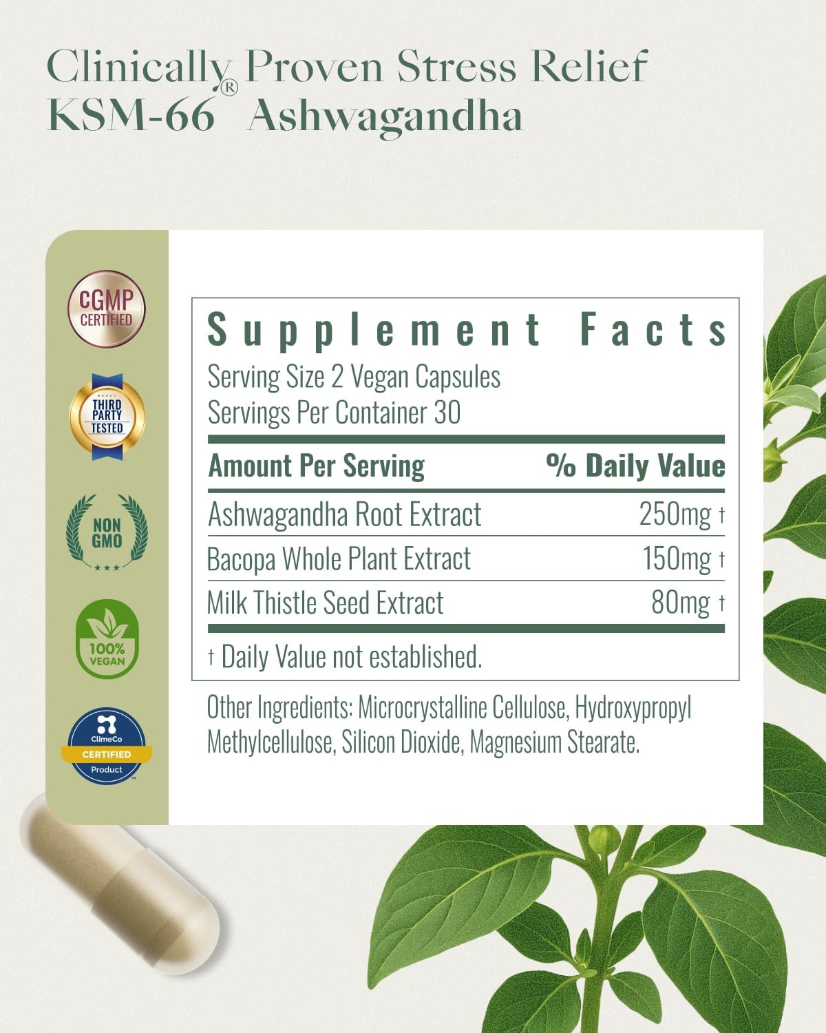 Upbe Ashwagandha Supplements for Women & Men - KSM-66® with Bacopa & Milk Thistle, 60 Vegan Capsules - Stress Relief, Mood, Cortisol Support, Extra Strength Ashwagandha Capsules Upbe buy supplements canada