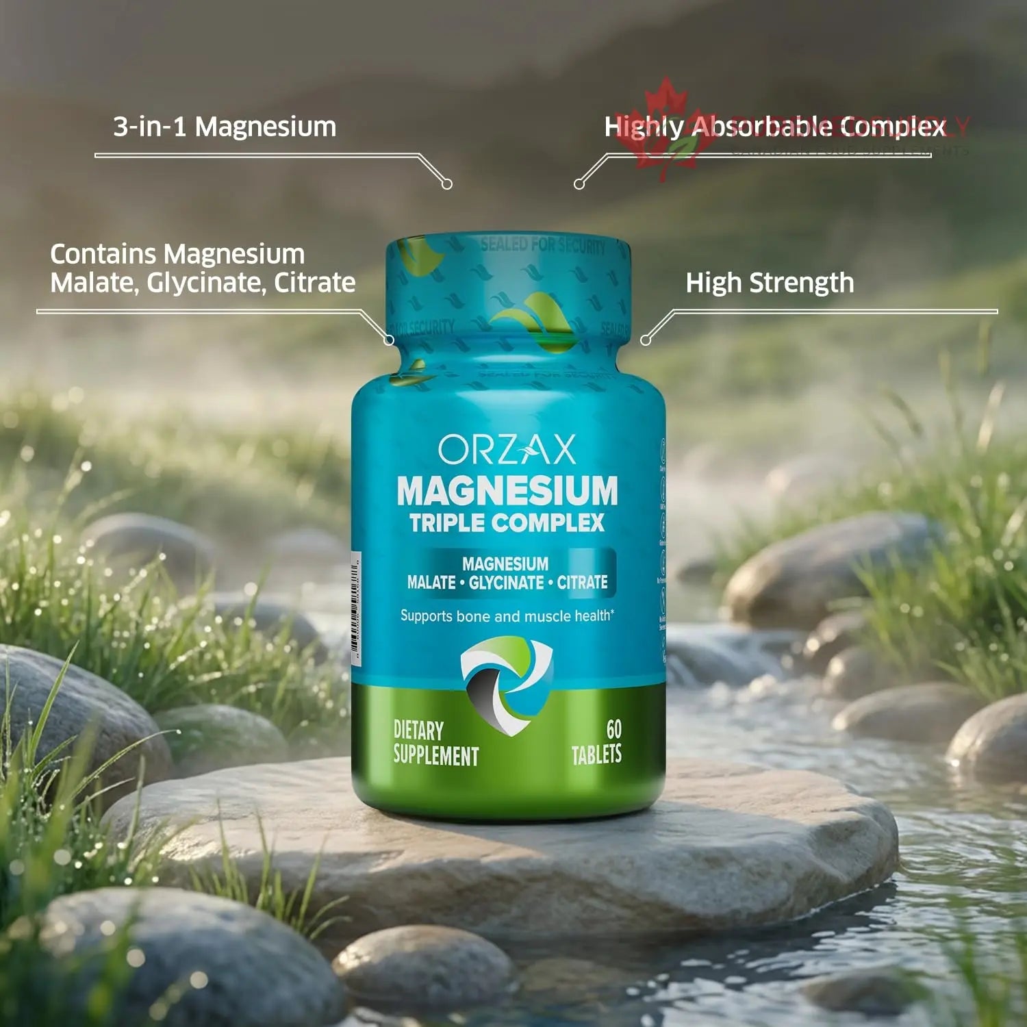 ORZAX Magnesium Triple Complex | Magnesium Glycinate, Citrate, Malate | Vegan, Gluten Free, Dairy Free, Halal | 200 mg of Triple Complex Magnesium for Muscles & Energy for Women and Men | 60 Tablets ORZAX buy supplements canada