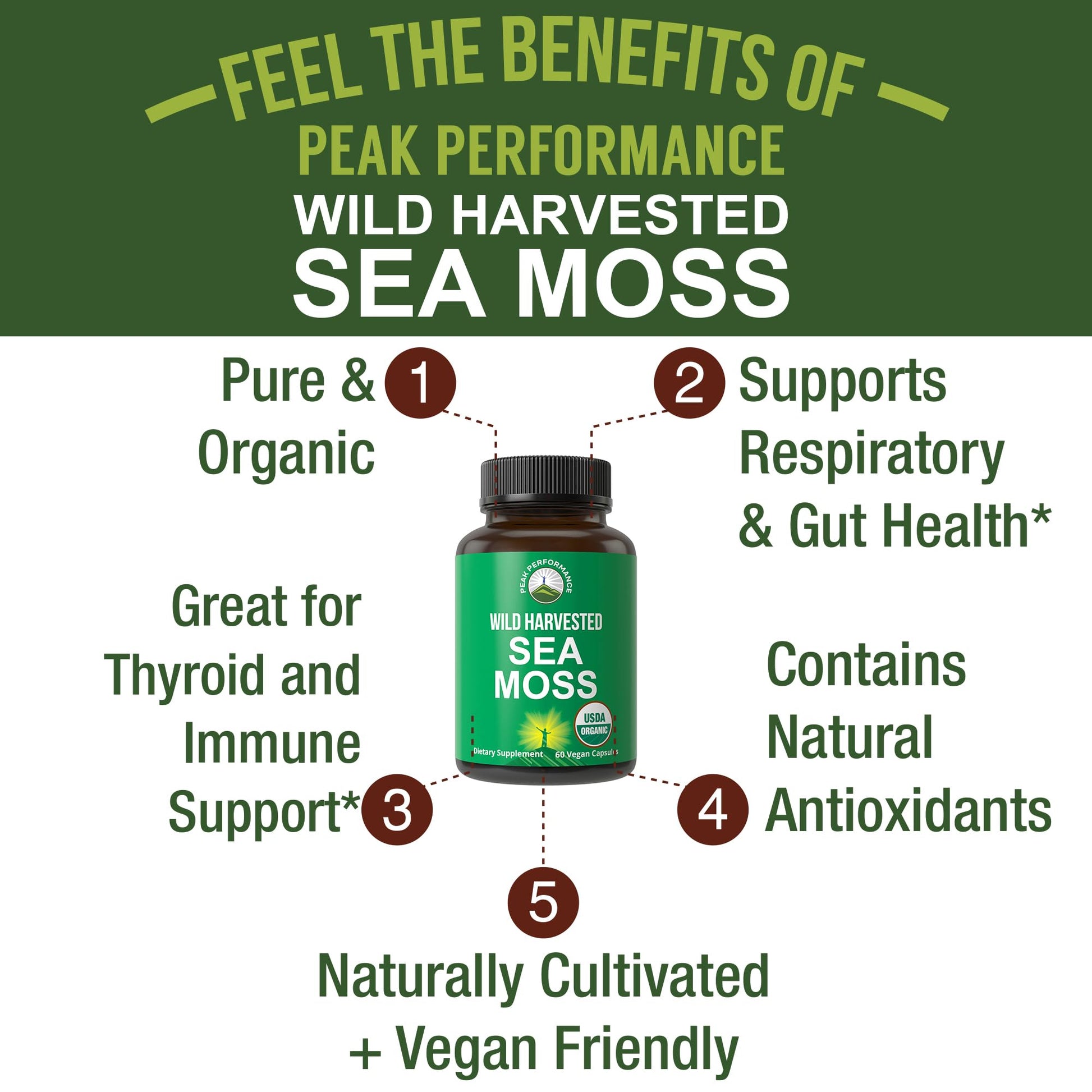 Organic Sea Moss Capsules. Wild Harvested Sea Moss Raw Organic Vegan Supplement from Red Algae Seaweed. 100% Whole Extract Raw Irish SeaMoss Superfood Pills. for Gut, Respiratory, Immune Support. Peak Performance buy supplements canada
