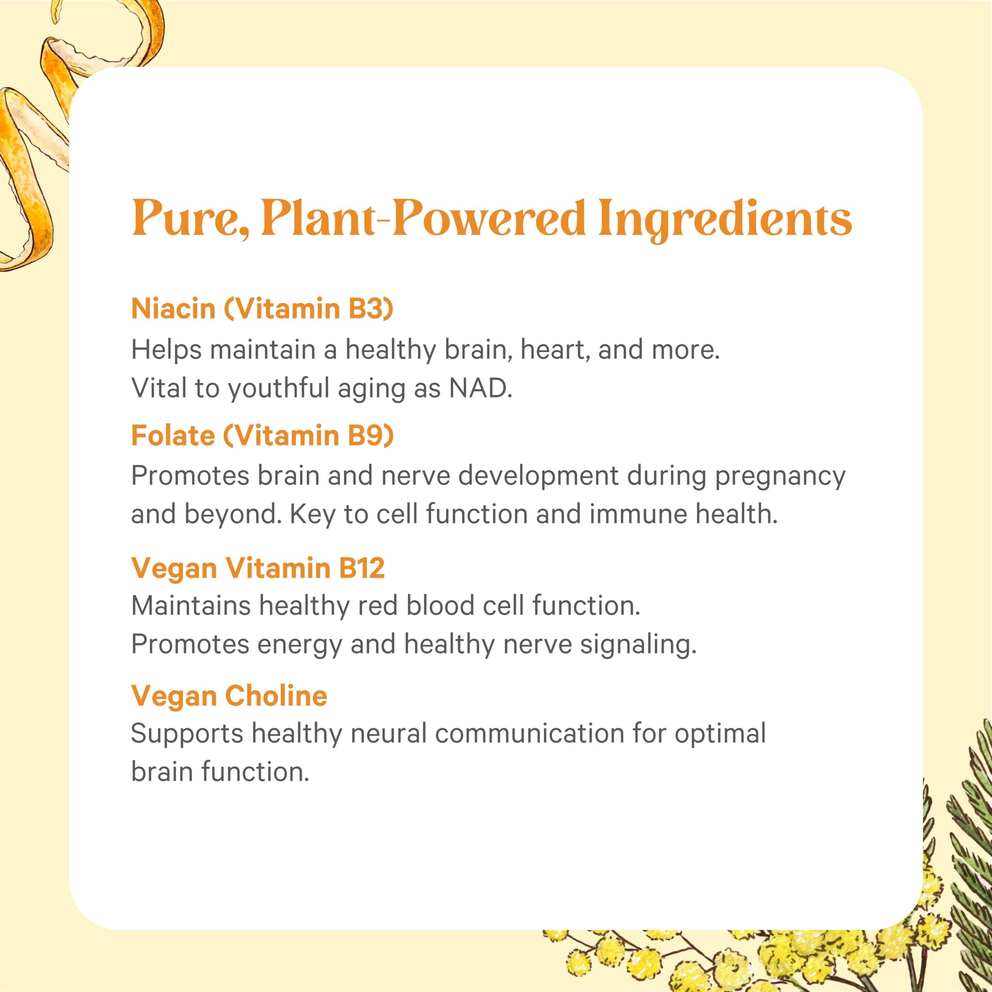 PURE SYNERGY Super B-Complex | Vitamin B Complex Made with Organic Whole Foods | Vegan Supplement with Natural Vitamin B12, Niacin, and Folate | for Energy PURE SYNERGY buy supplements canada
