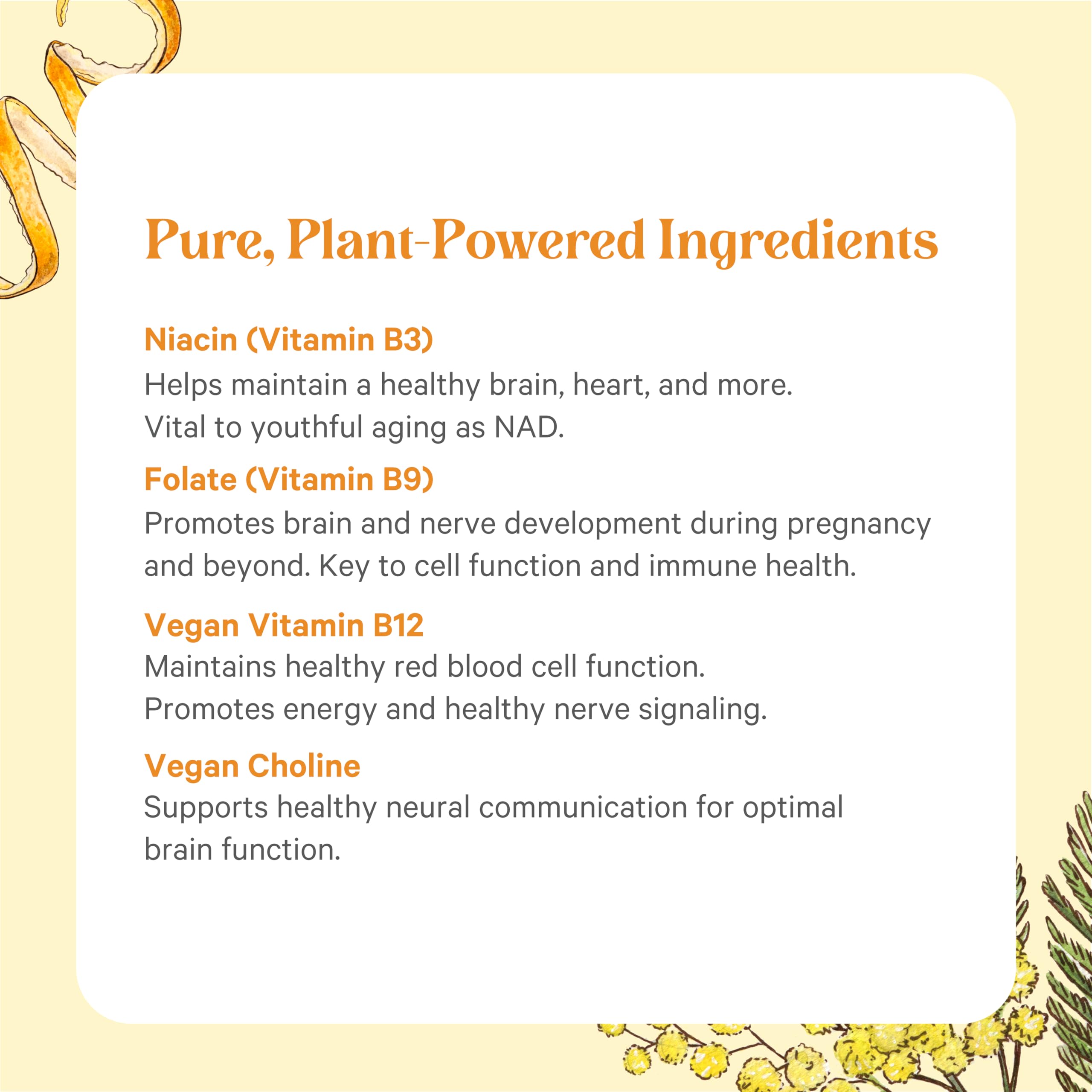 PURE SYNERGY Super B-Complex | Vitamin B Complex Made with Organic Whole Foods | Vegan Supplement with Natural Vitamin B12, Niacin, and Folate | for Energy PURE SYNERGY buy supplements canada