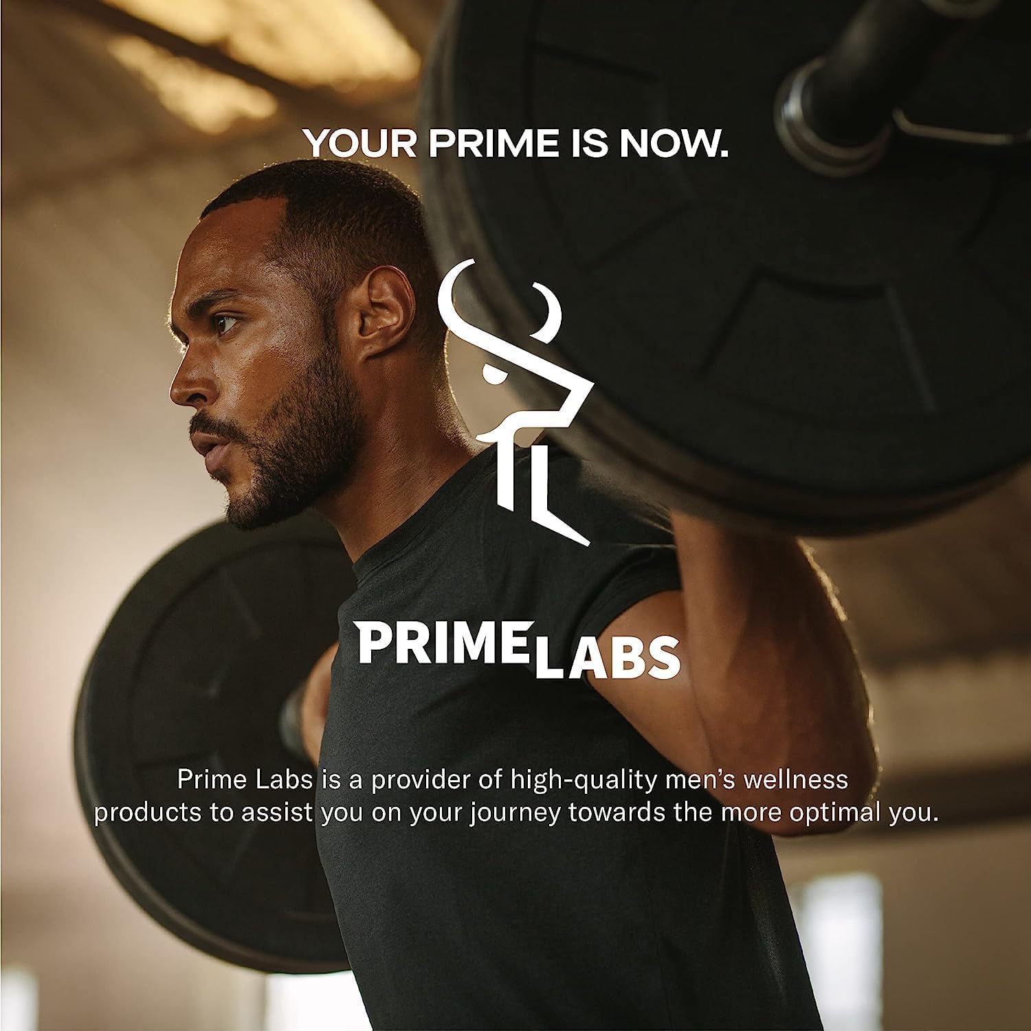 Prime Labs Creatine HCl Capsules - with CON-CRĒT®, Rhodiola Root Extract, & L-Theanine - Muscle Support, Endurance, Cognitive Function - for Men & Women - 60 Pills Prime Labs buy supplements canada