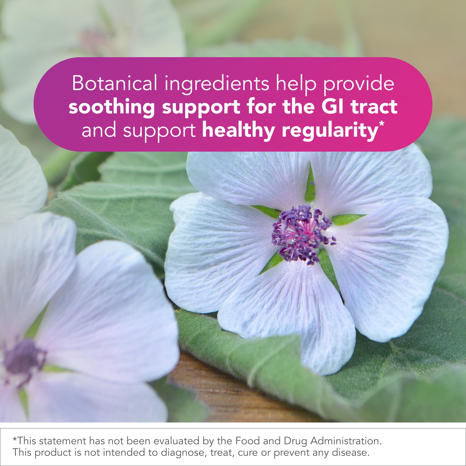 Biocidin Proflora 4R Spore Probiotic - Digestive Health Probiotics for Women & Men - Clinically Researched Bacillus Strains & Organic Aloe, Marshmallow Root for Gut Support (30 Vegan Capsules) Bio-Botanical Research buy supplements canada