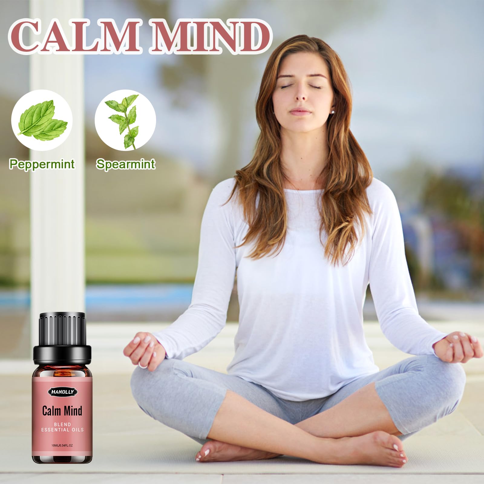 Essential Oils Blend Set, Fragrance Oil Aromatherapy Essential Oils Kit for Diffuser (6x10ML) Hanolly buy supplements canada