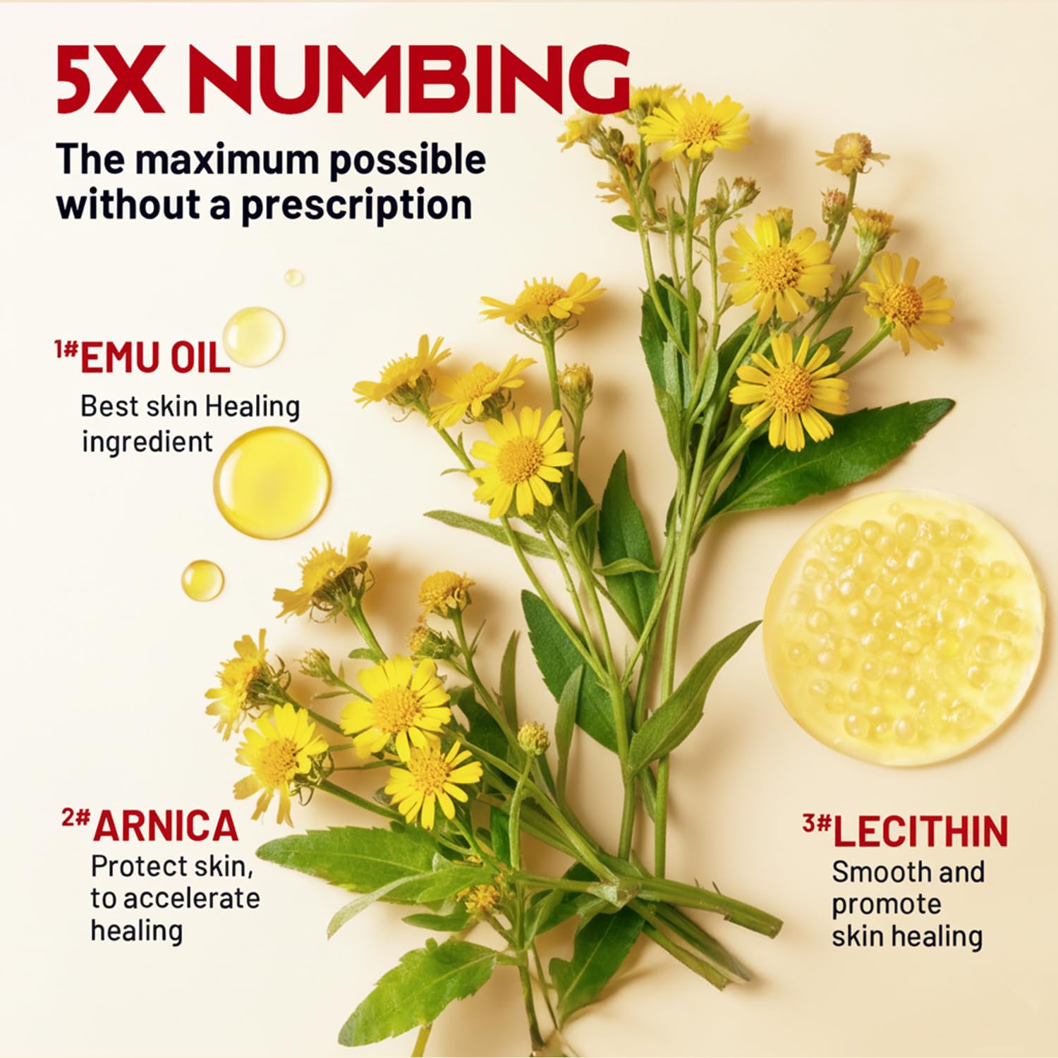 Acolye Numbing Cream Maximum Strength : 5% Lidocaine Topical Anesthetic - Extra Strength 5X Numbing with Menthol Arnica and Emu Oi (2 Fl Oz, Mint Flavor) Acolye buy supplements canada