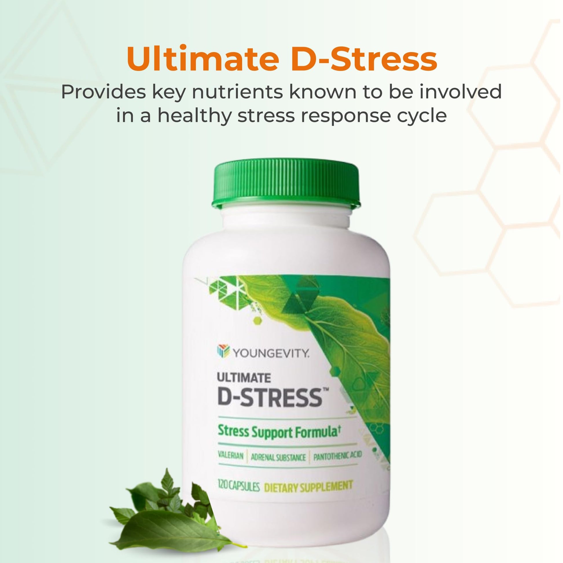 Youngevity Ultimate D-Stress™ – Natural Stress Relief Supplement with Magnesium, Valerian Root Extract, and B Vitamins – Supports Adrenal Health and Nervous System – 120 Capsules Youngevity buy supplements canada